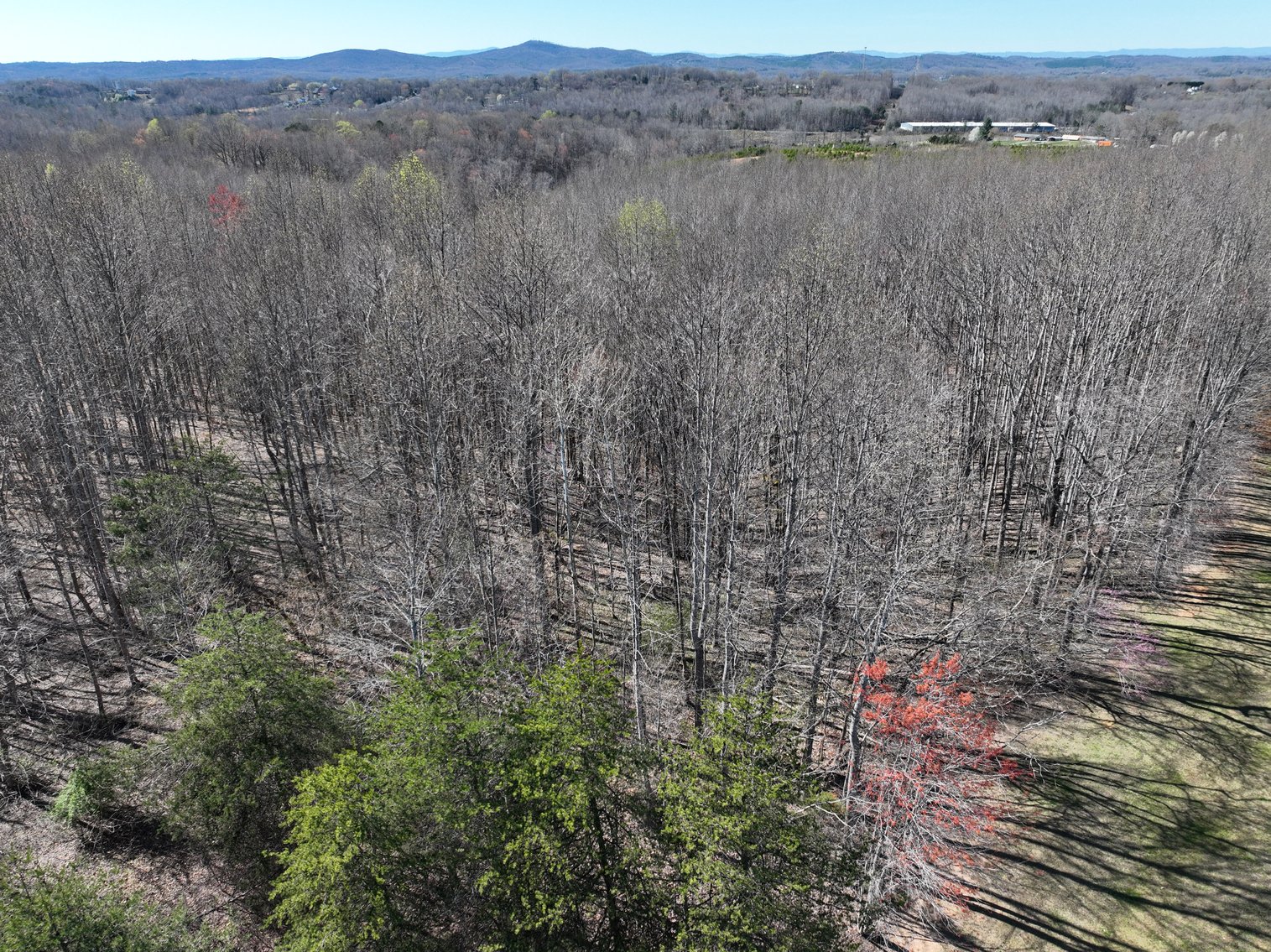 Image for 99 Acres in Henry County, VA