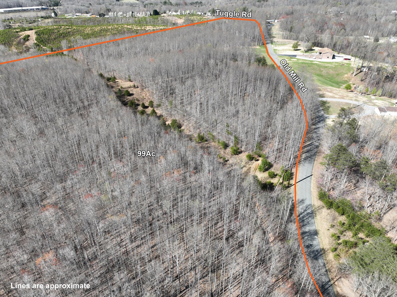 Image for 99 Acres in Henry County, VA