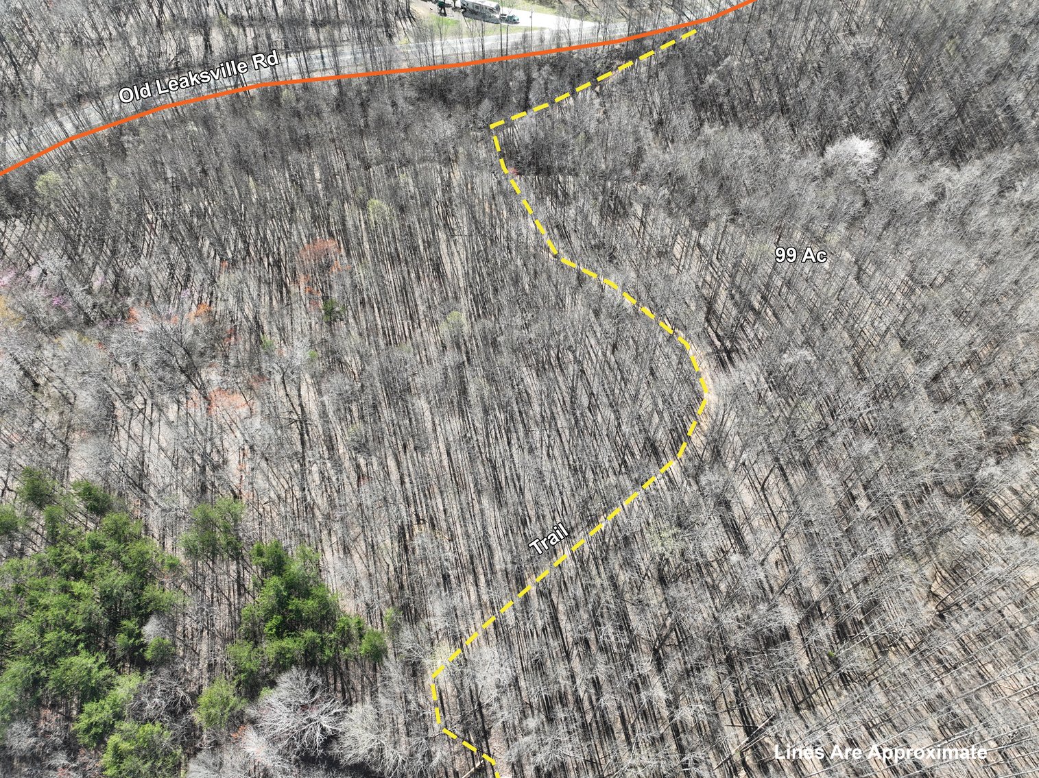 Image for 99 Acres in Henry County, VA