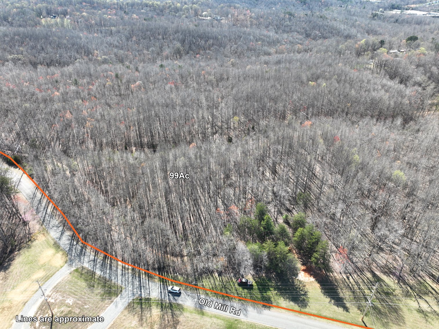 Image for 99 Acres in Henry County, VA