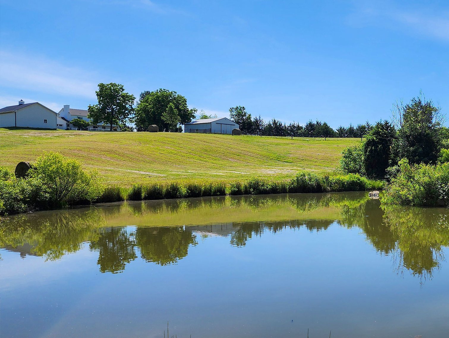 Image for 77 Acre Country Estate in Appomattox VA