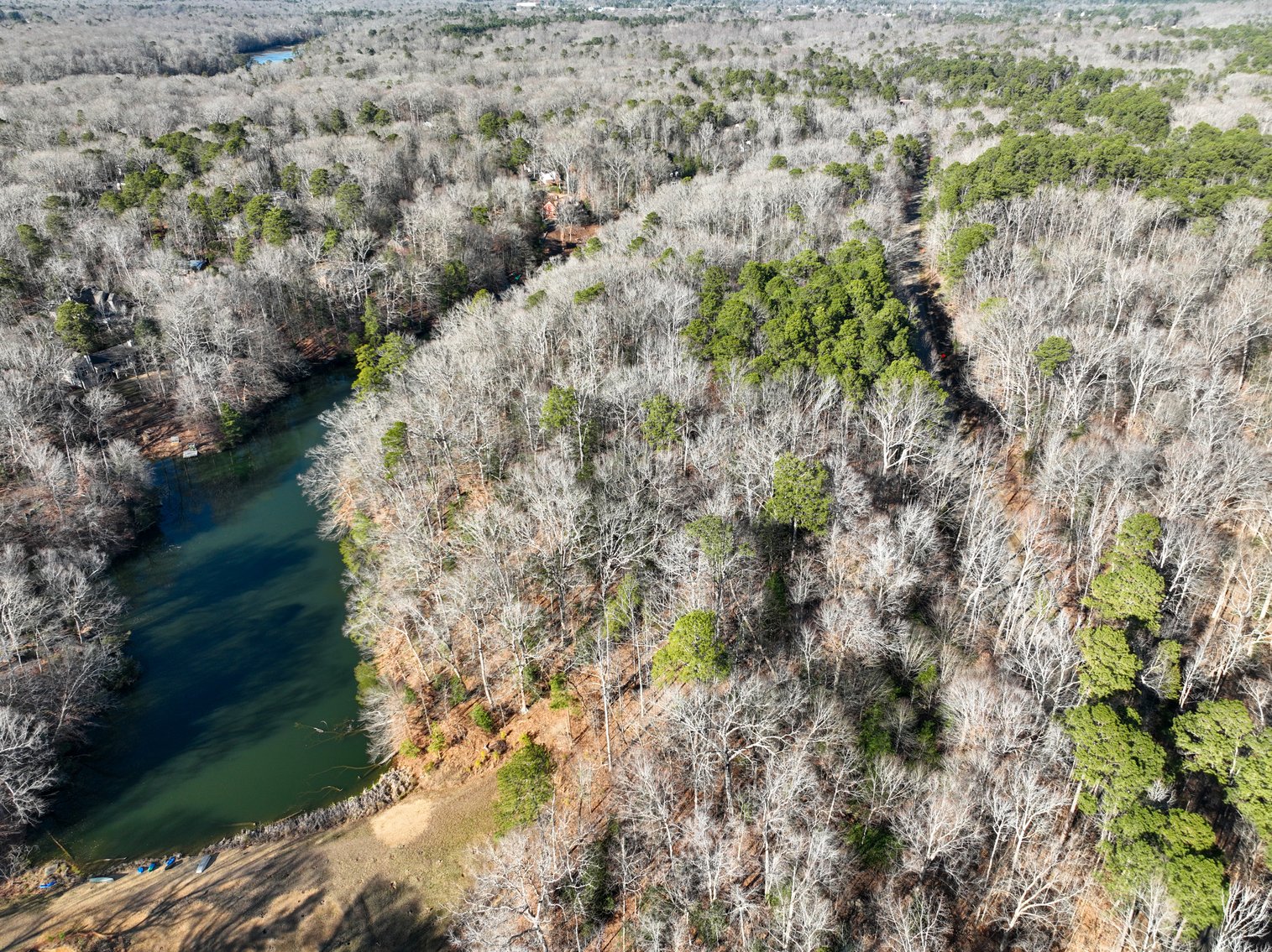 Image for 10 Acres Williamsburg