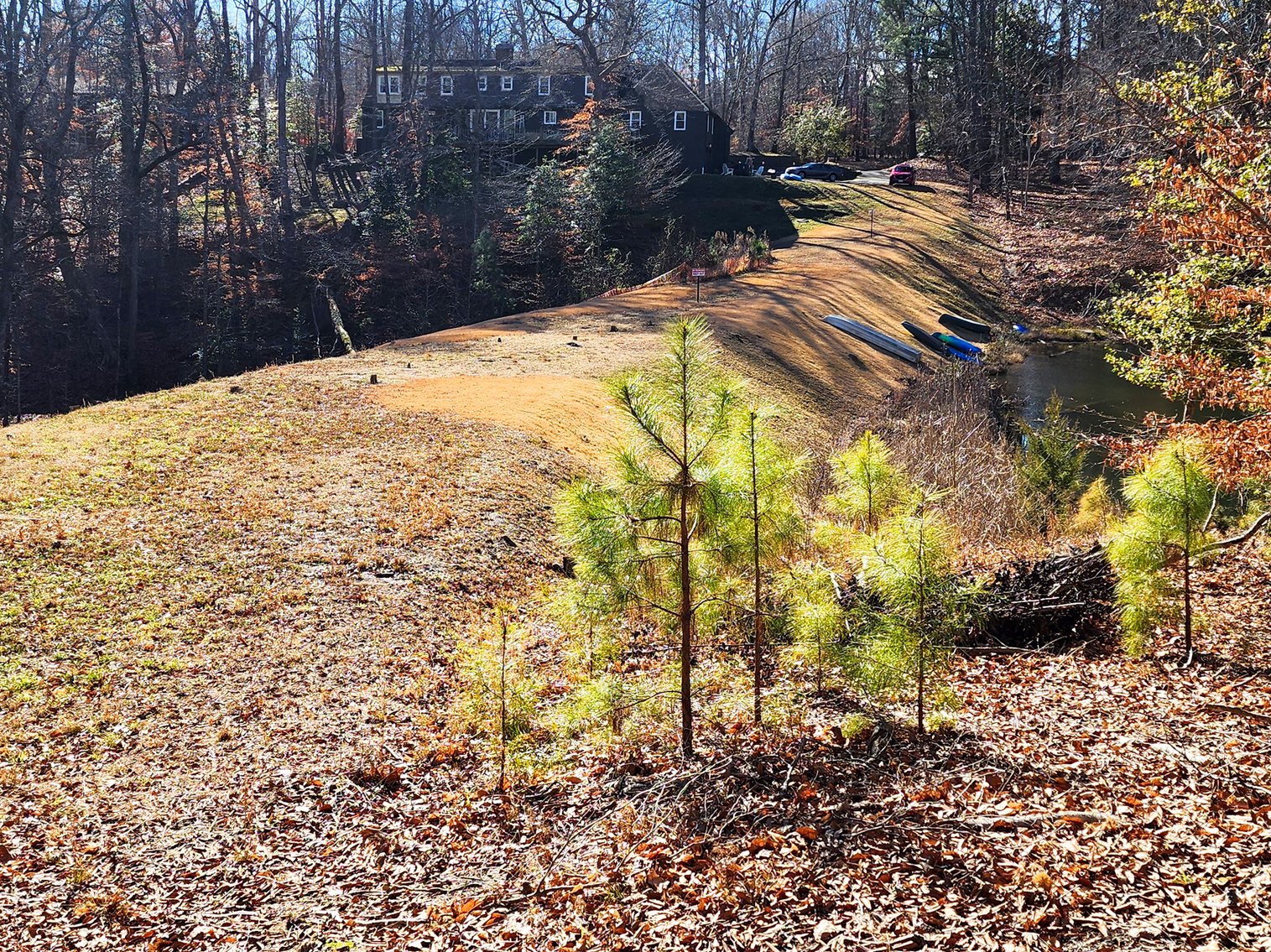 Image for 10 Acres Williamsburg