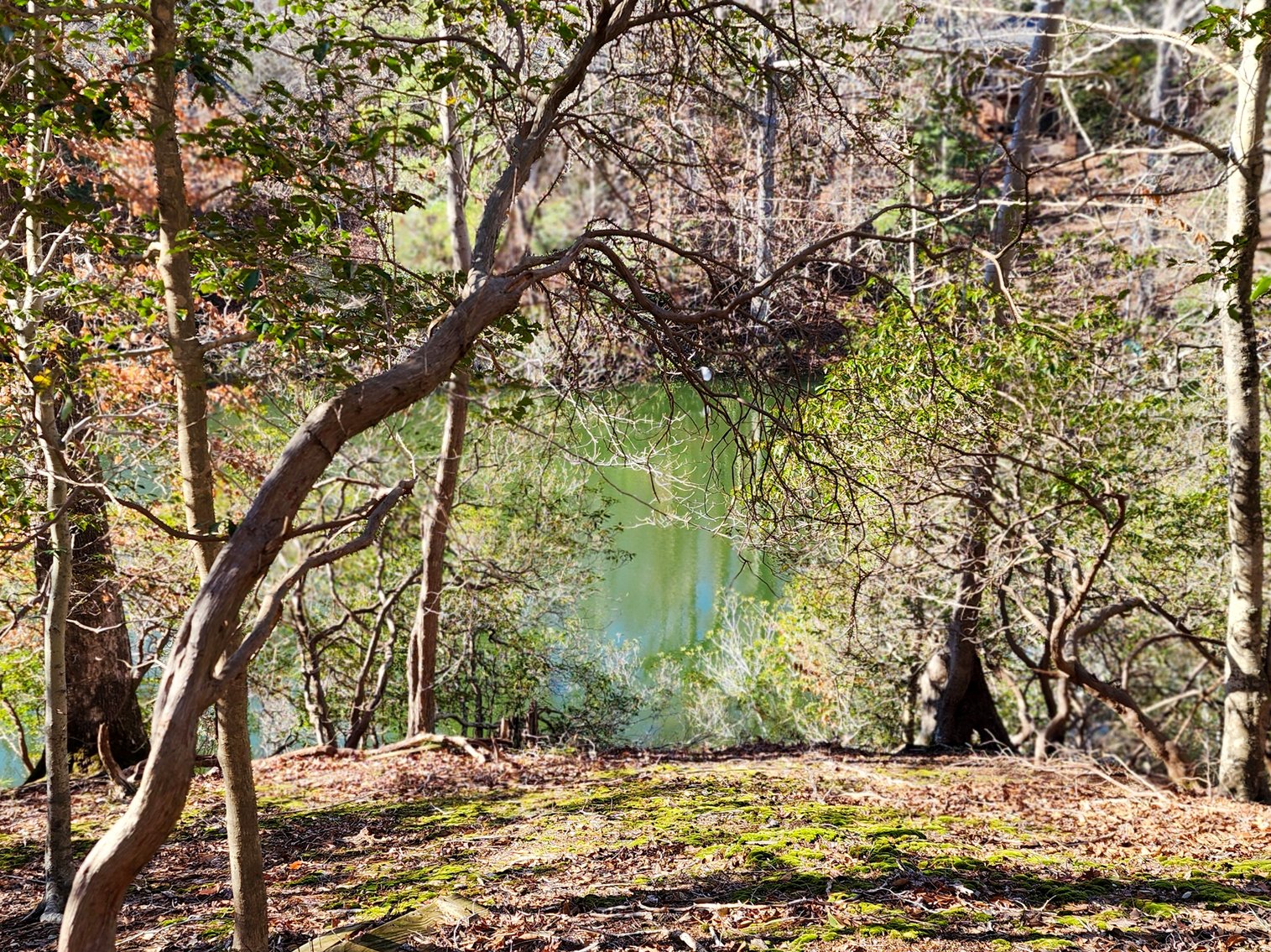 Image for 10 Acres Williamsburg