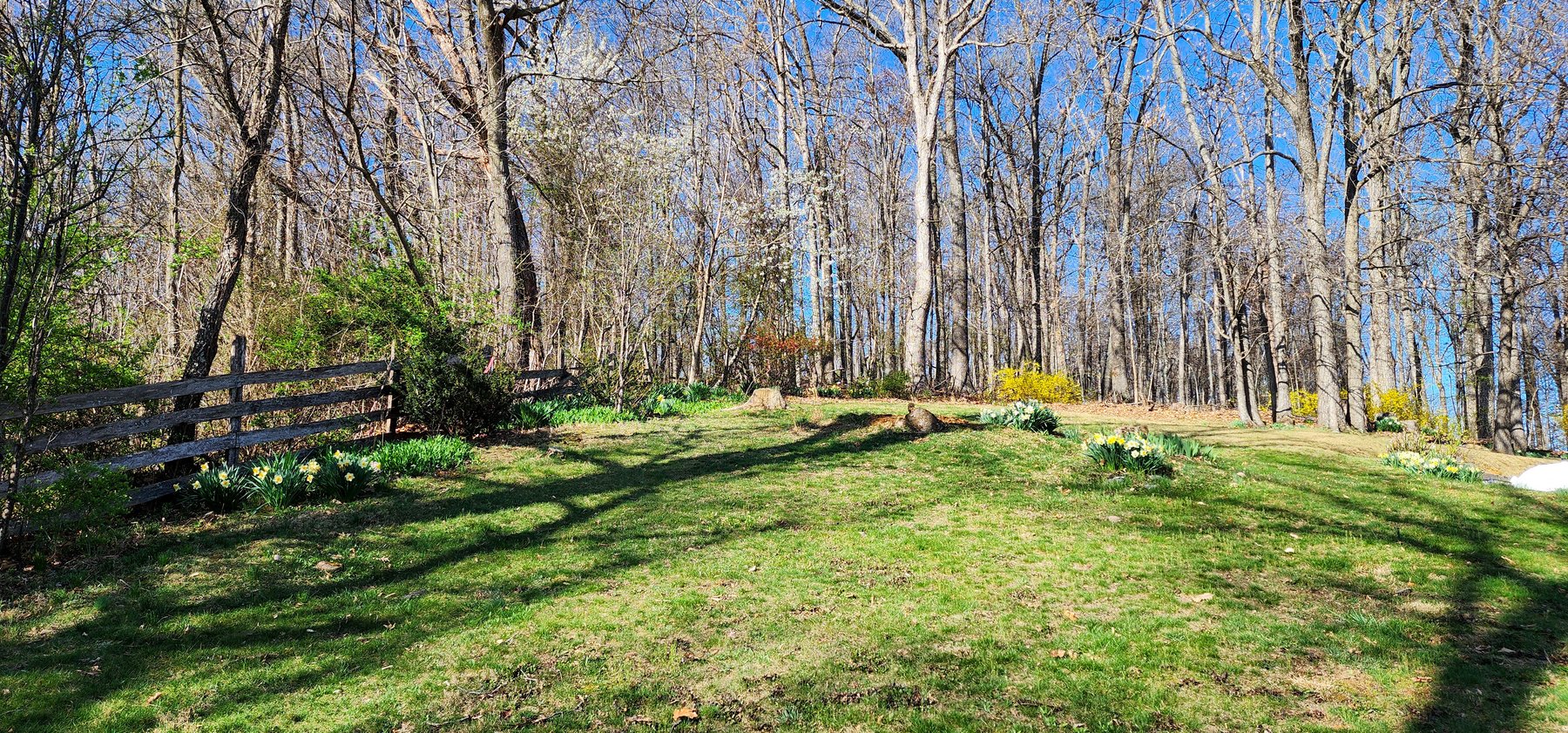 Image for 38 Aspen Ct Fishersville VA