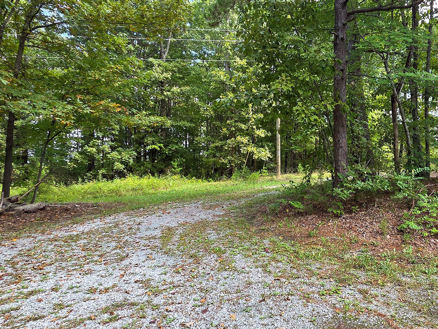 Image for 187 Acre Farm & Timberland