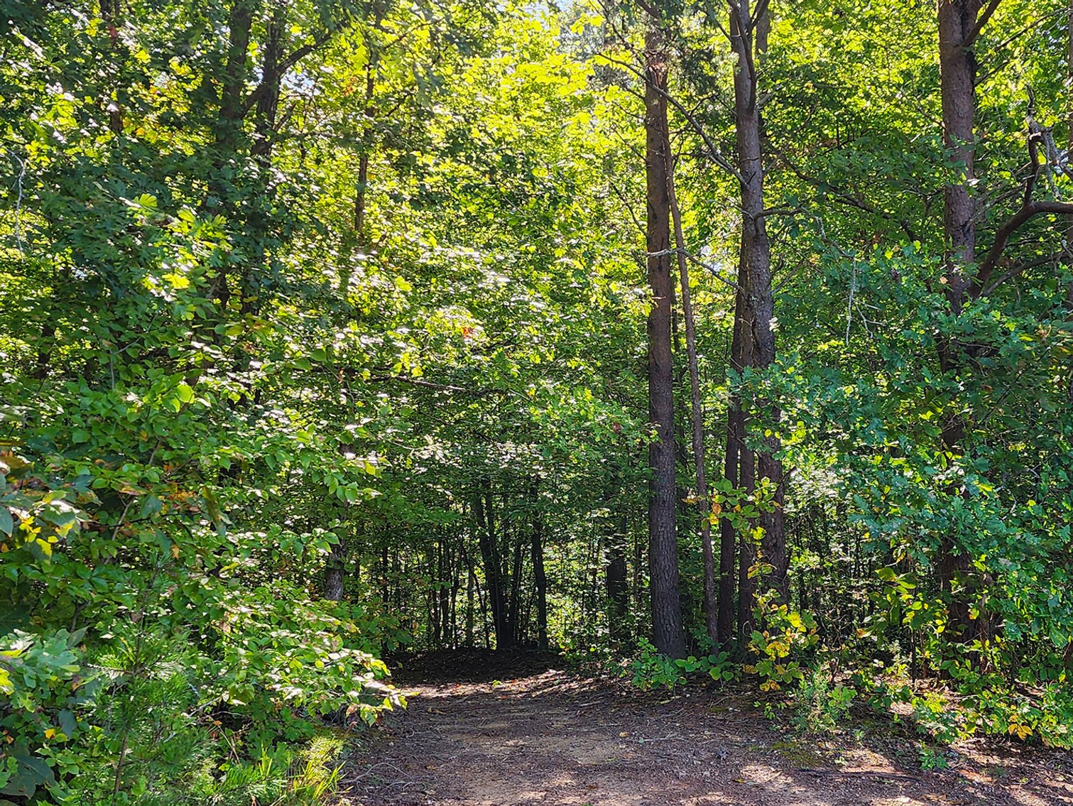 Image for 187 Acre Farm & Timberland