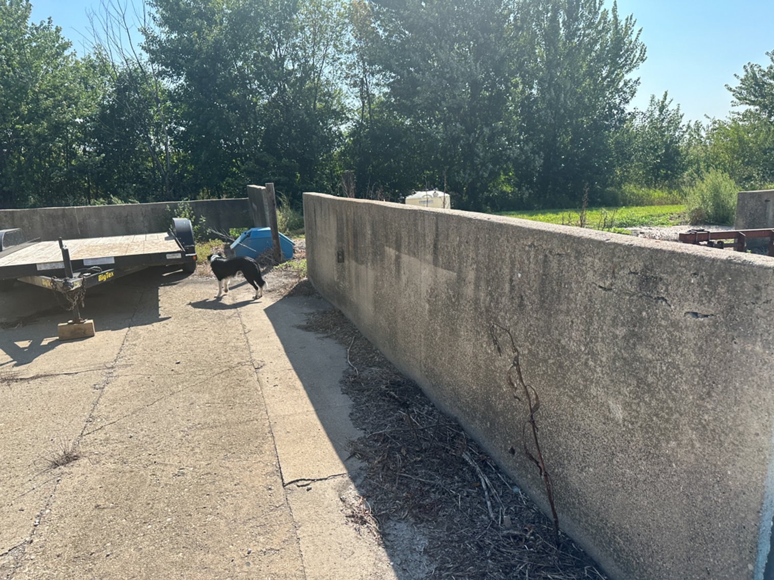 Image for 2488 Needham Ave., Sac City!