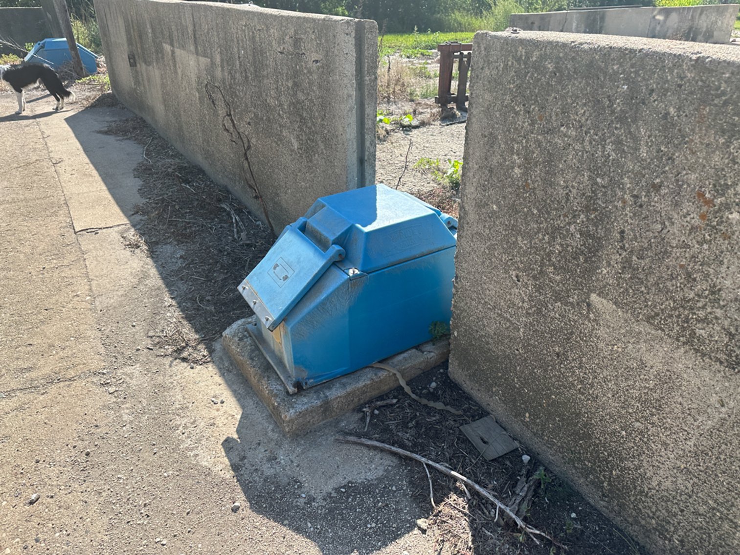 Image for 2488 Needham Ave., Sac City!