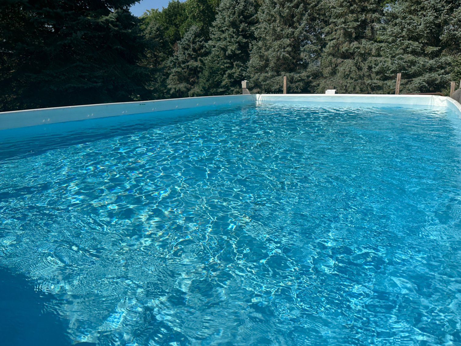 Image for 2488 Needham Ave., Sac City!