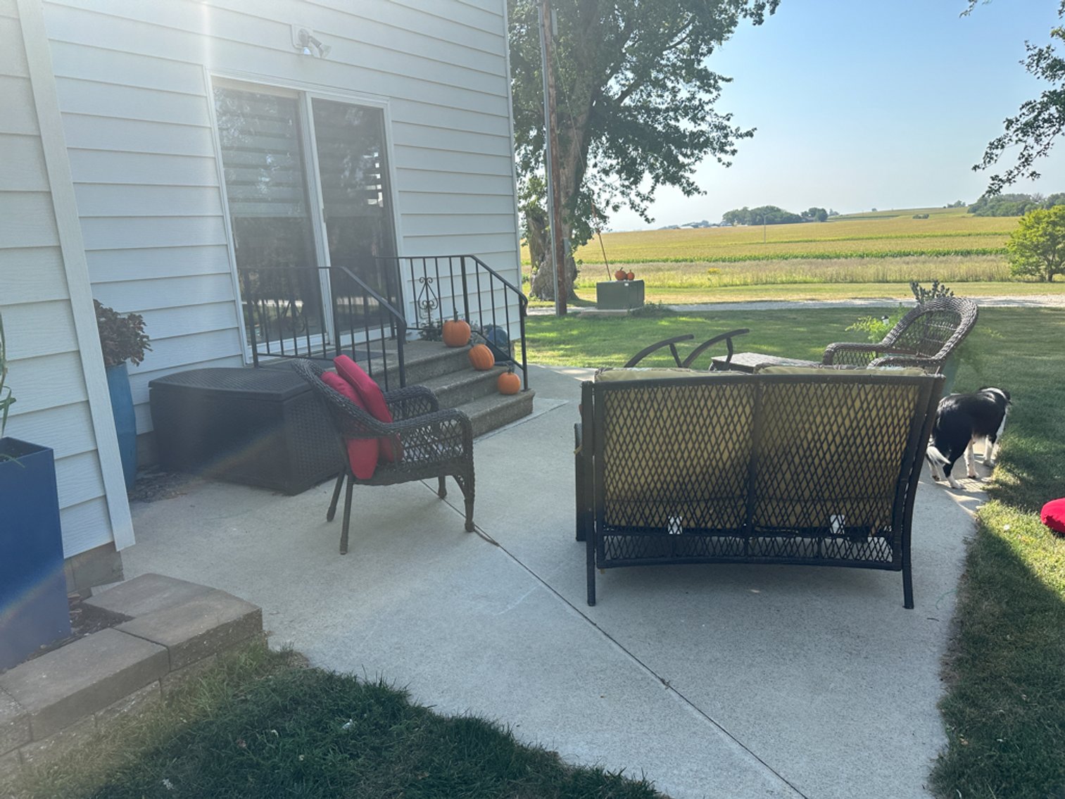 Image for 2488 Needham Ave., Sac City!