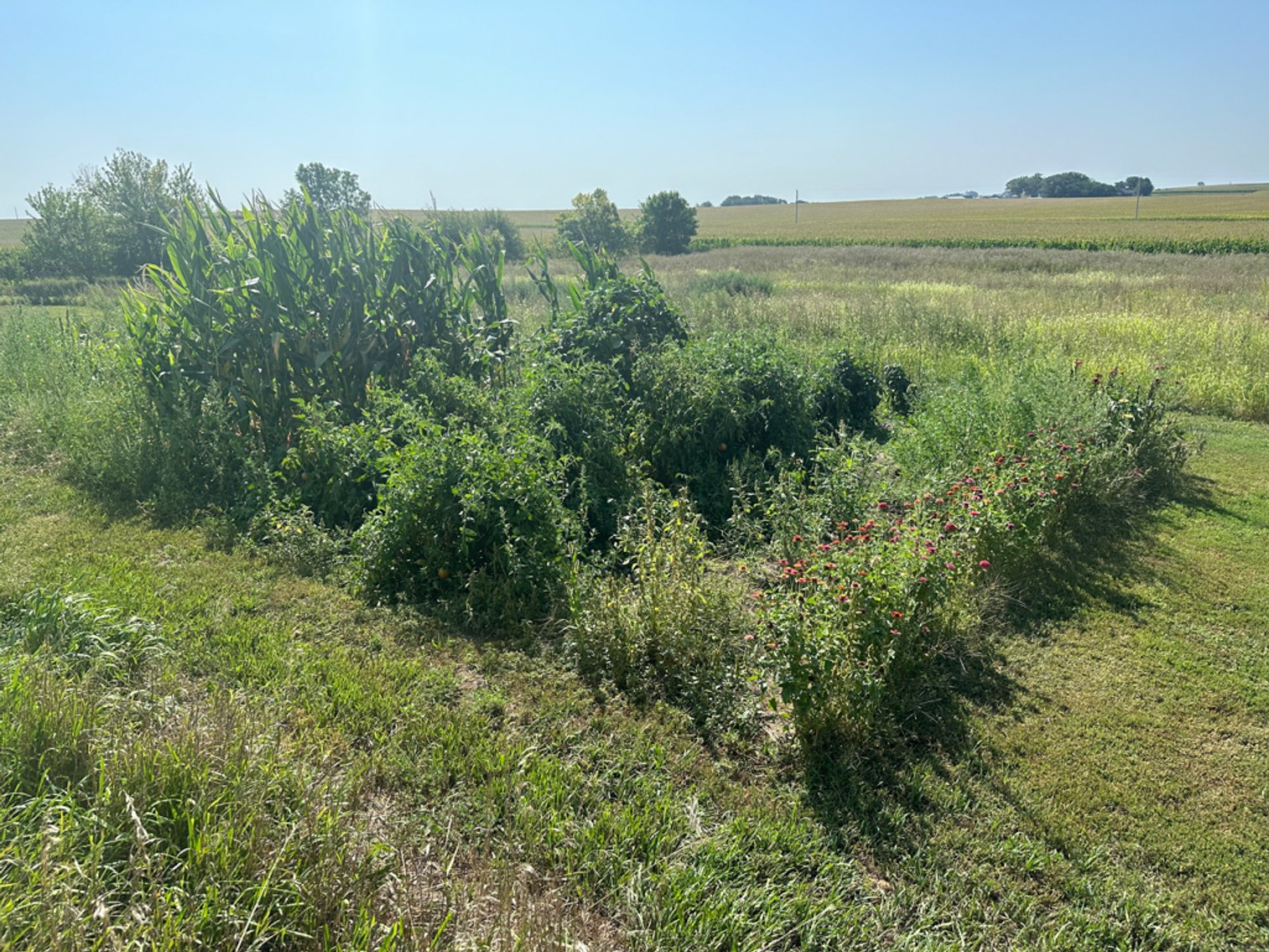 Image for 2488 Needham Ave., Sac City!