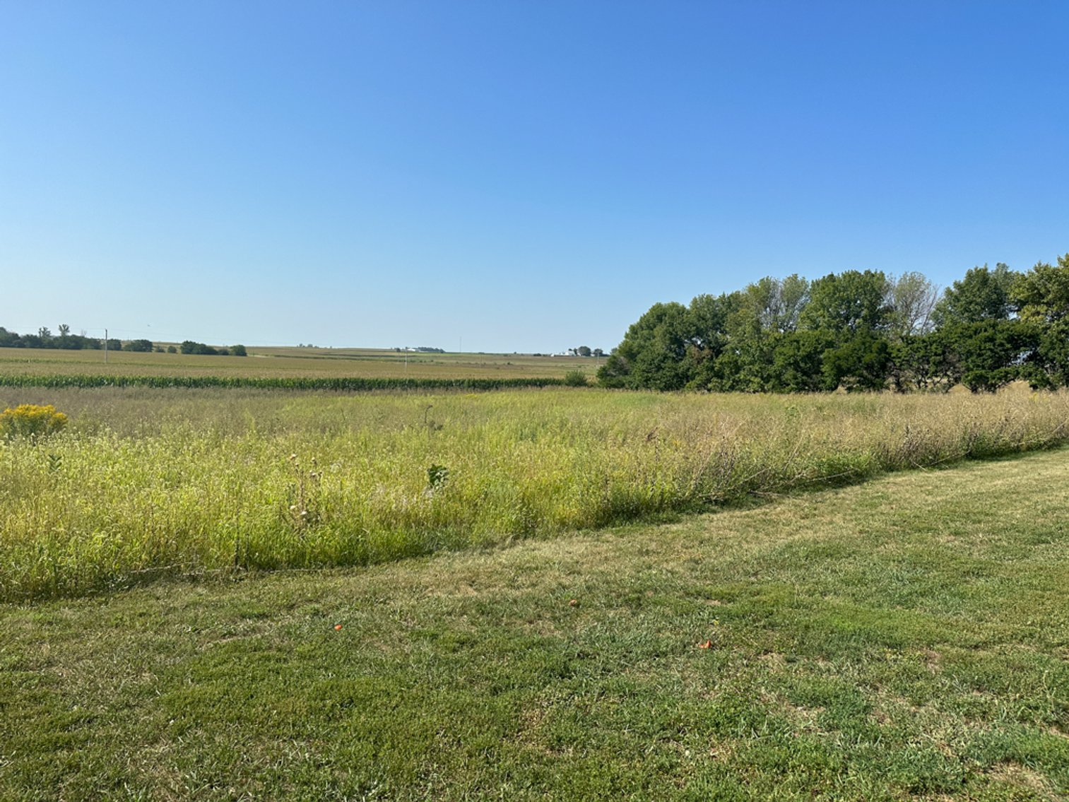 Image for 2488 Needham Ave., Sac City!