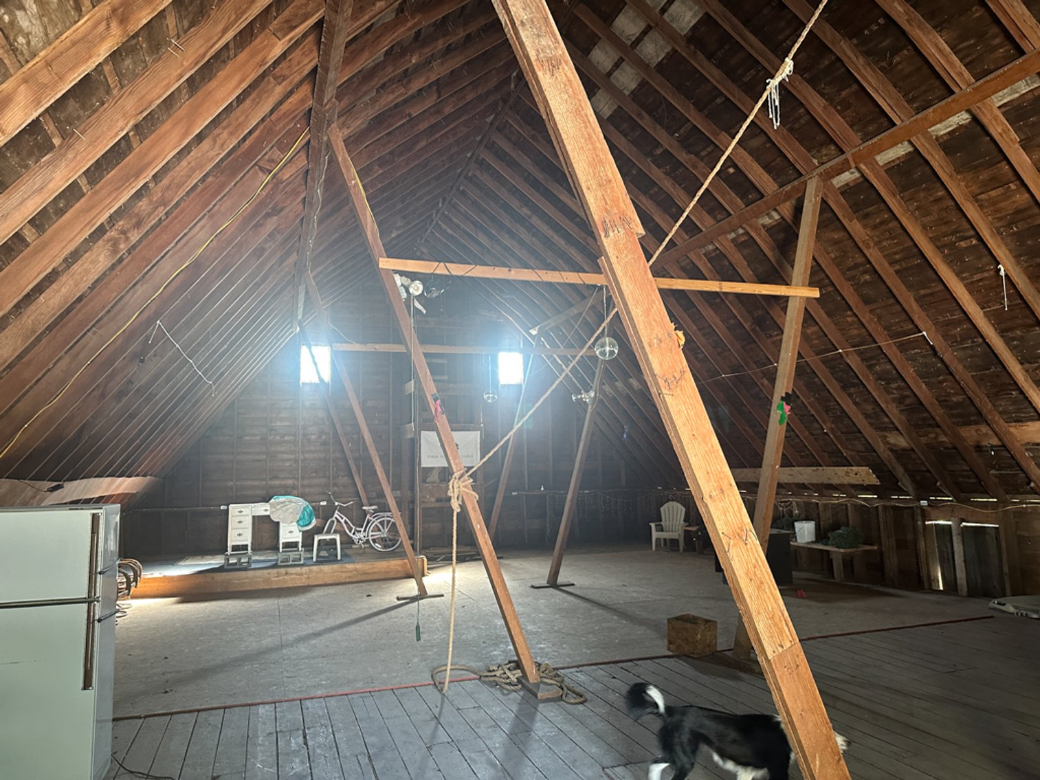 Image for 2488 Needham Ave., Sac City!