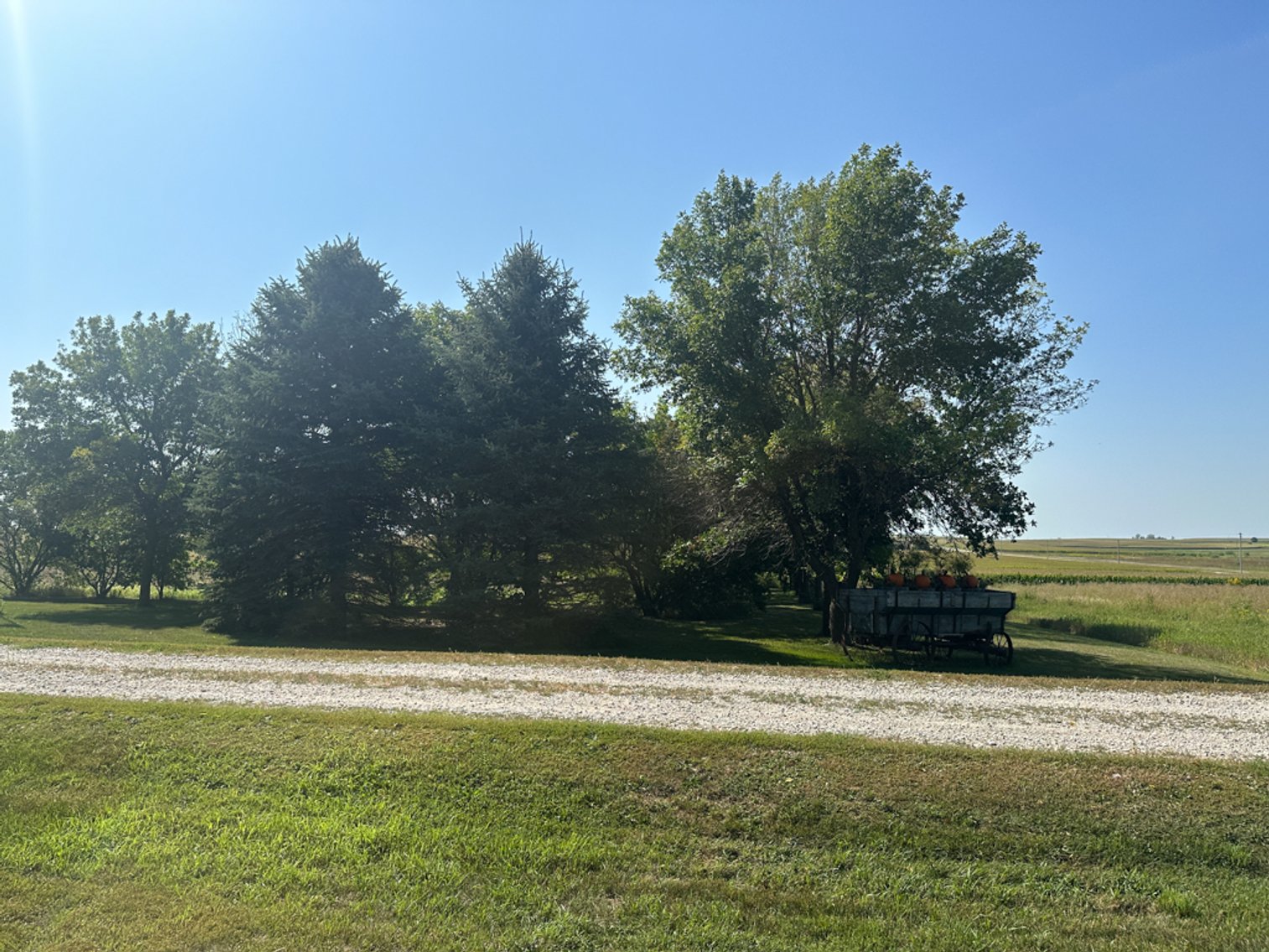 Image for 2488 Needham Ave., Sac City!