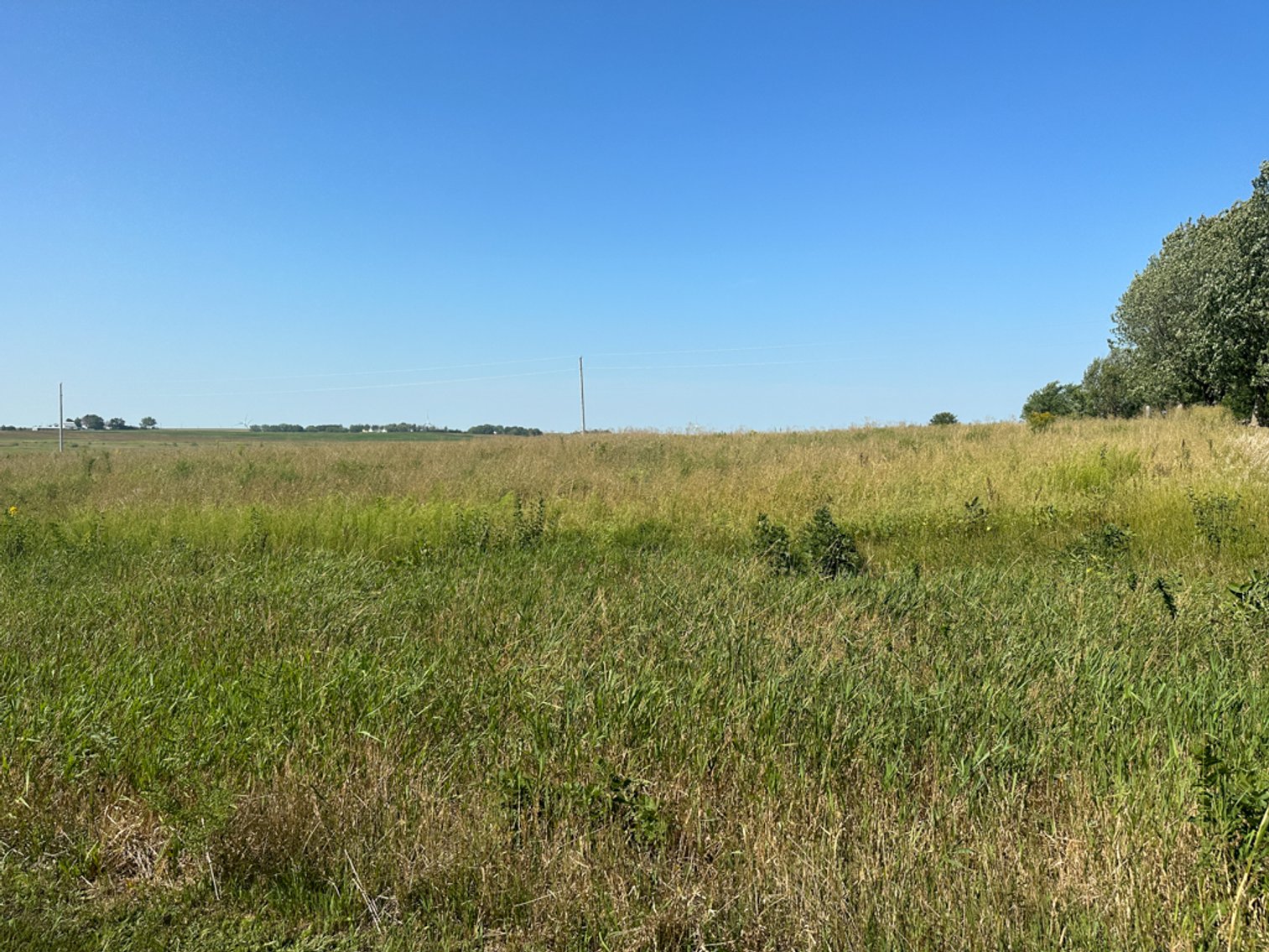 Image for 2488 Needham Ave., Sac City!