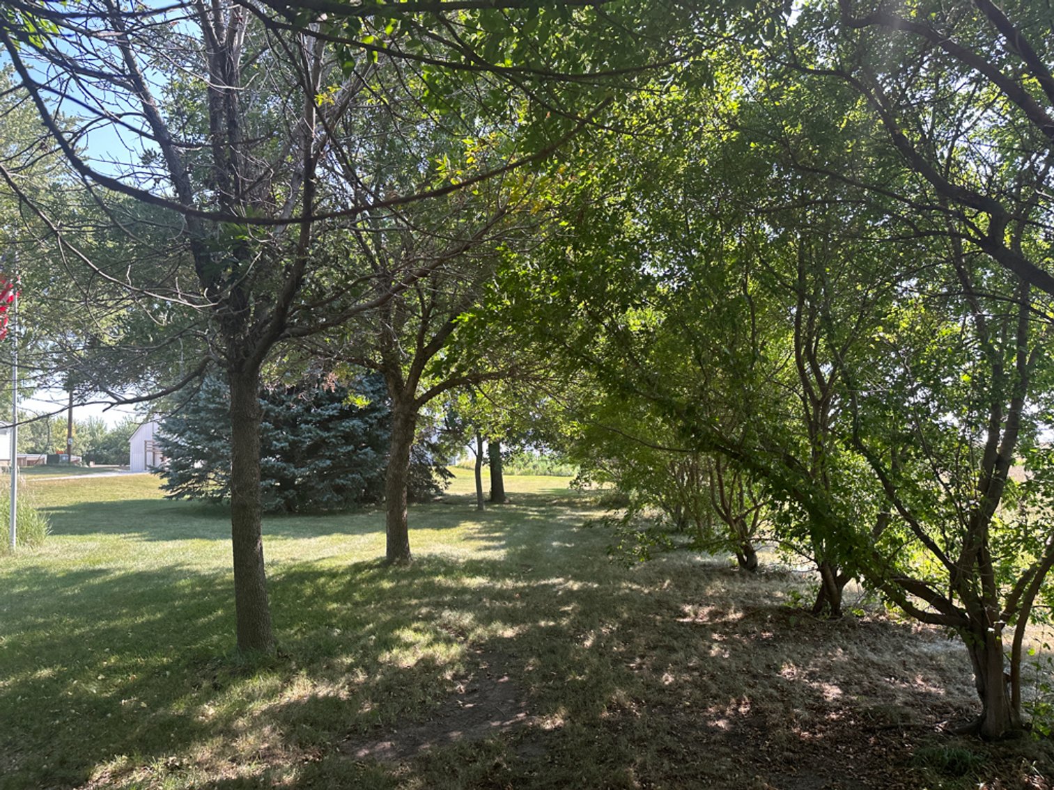 Image for 2488 Needham Ave., Sac City!