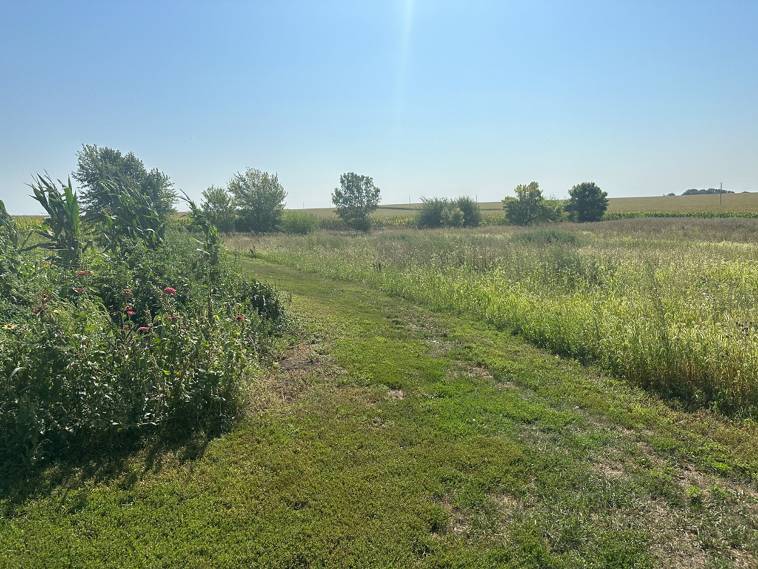 Image for 2488 Needham Ave., Sac City!