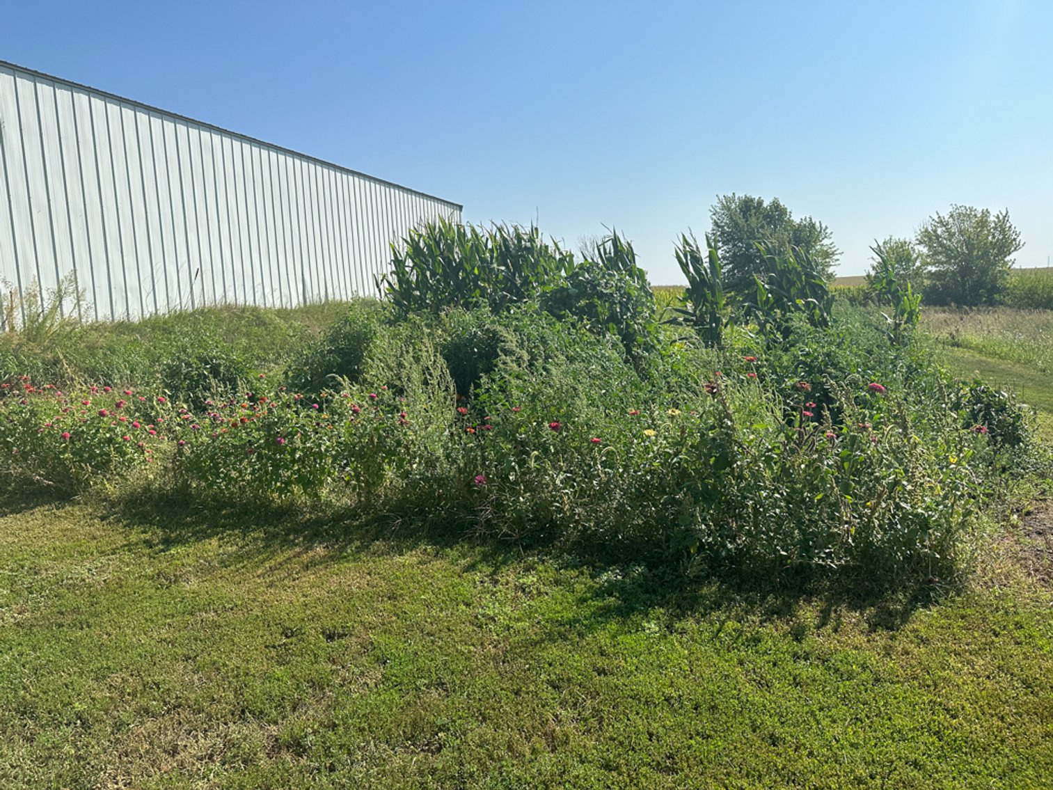 Image for 2488 Needham Ave., Sac City!