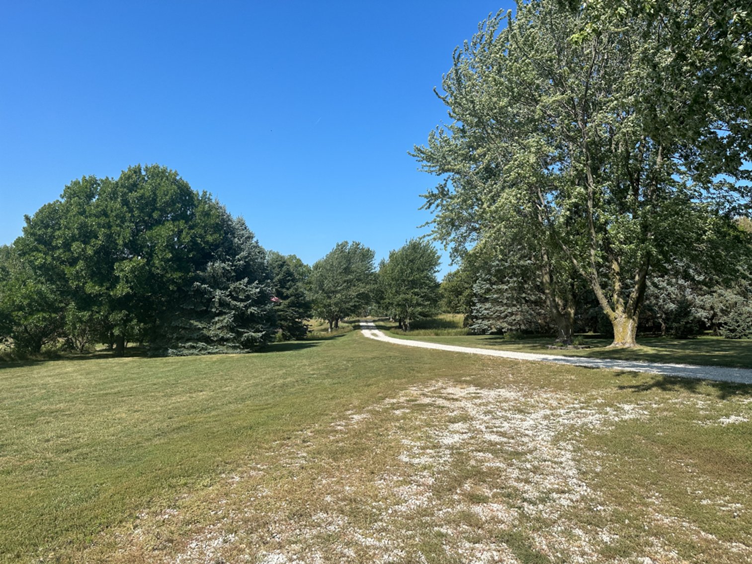 Image for 2488 Needham Ave., Sac City!