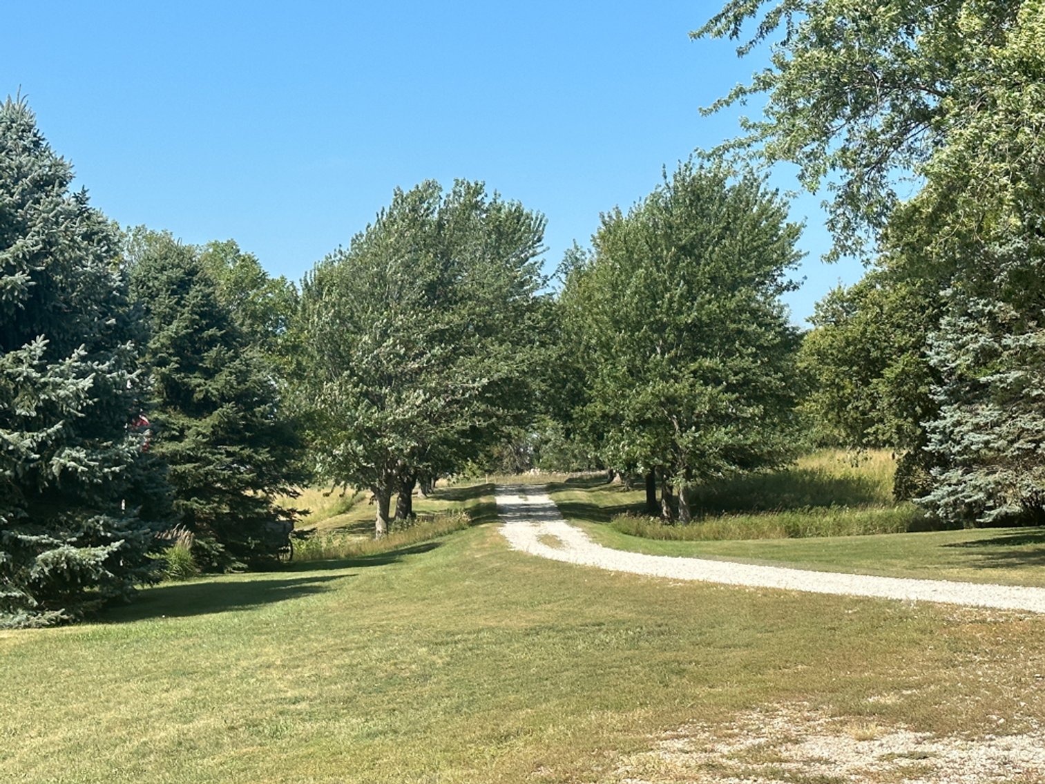 Image for 2488 Needham Ave., Sac City!