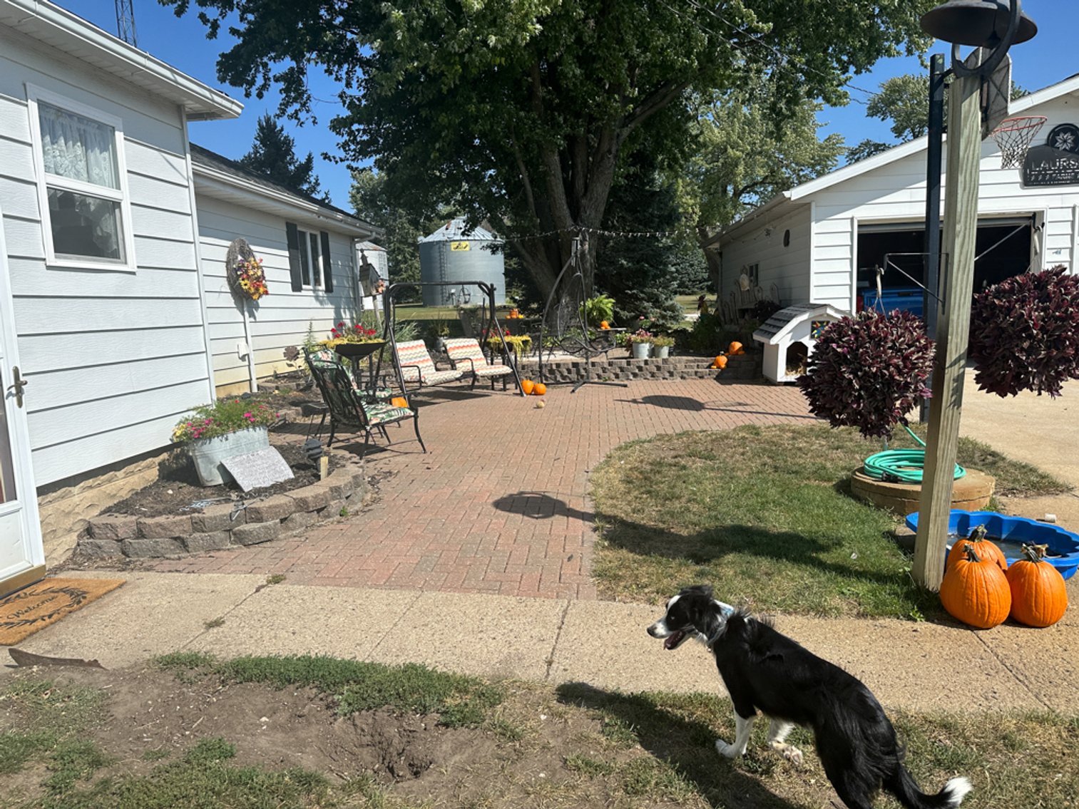 Image for 2488 Needham Ave., Sac City!