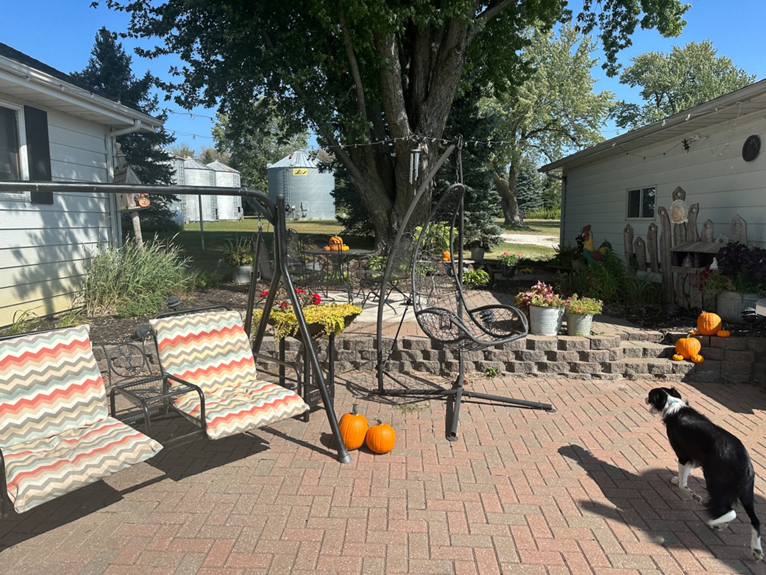 Image for 2488 Needham Ave., Sac City!