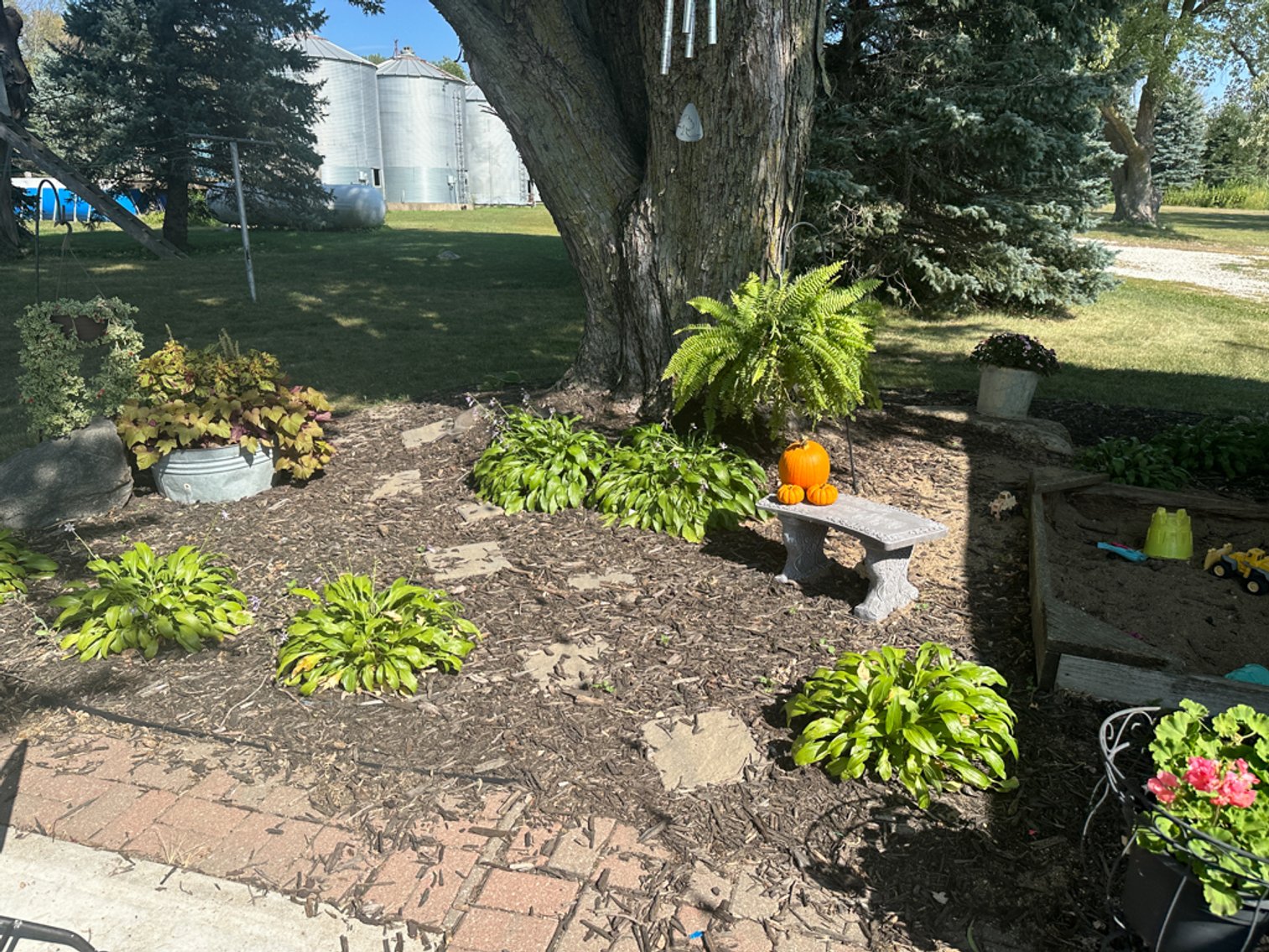 Image for 2488 Needham Ave., Sac City!