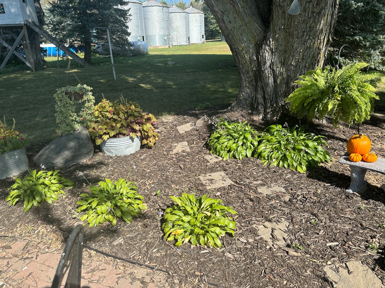 Image for 2488 Needham Ave., Sac City!