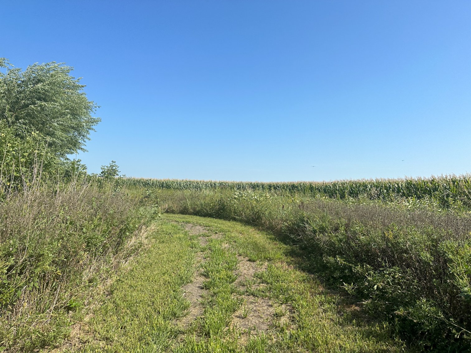 Image for 2488 Needham Ave., Sac City!