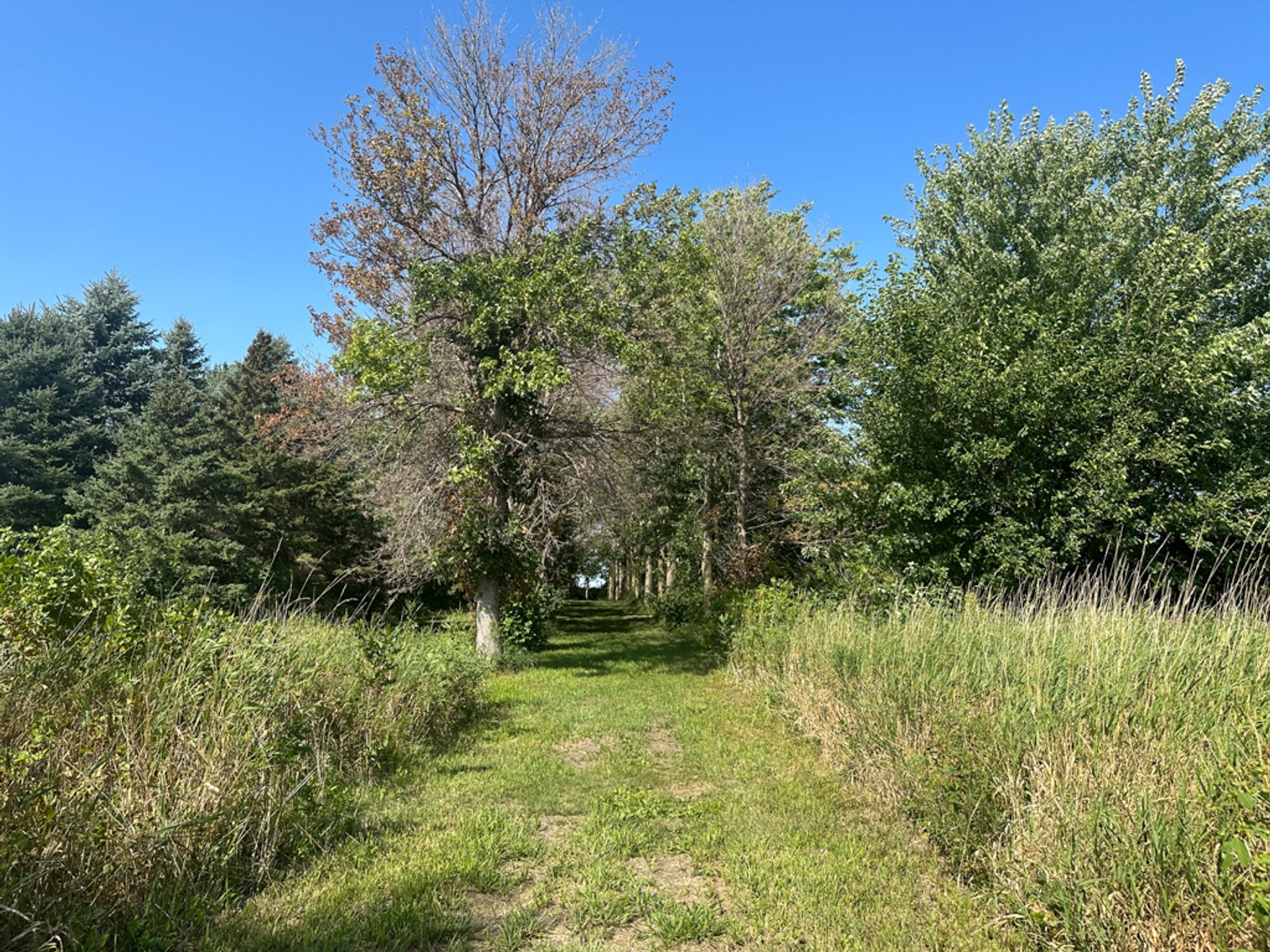 Image for 2488 Needham Ave., Sac City!