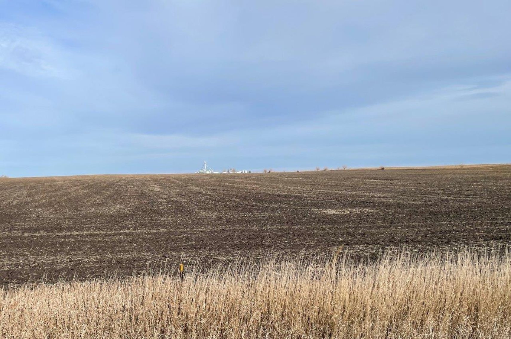 Image for Sac County, Iowa Farmland For Sale!