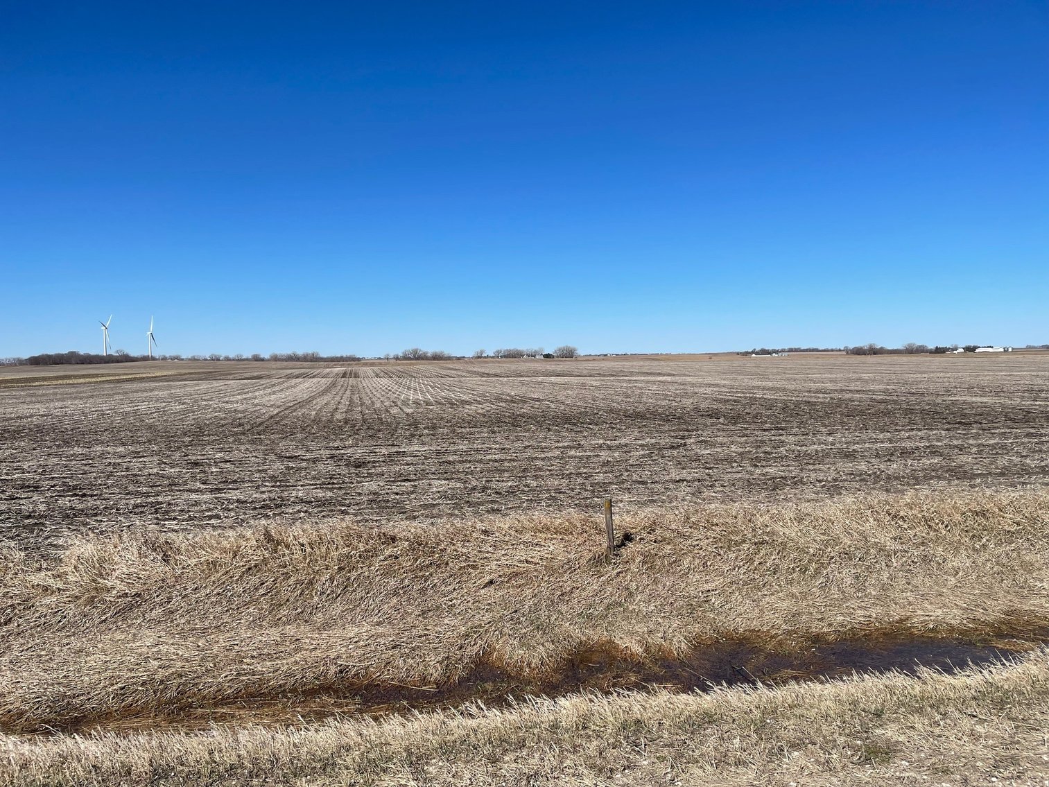 Image for Pocahontas County, IA Land Auction!