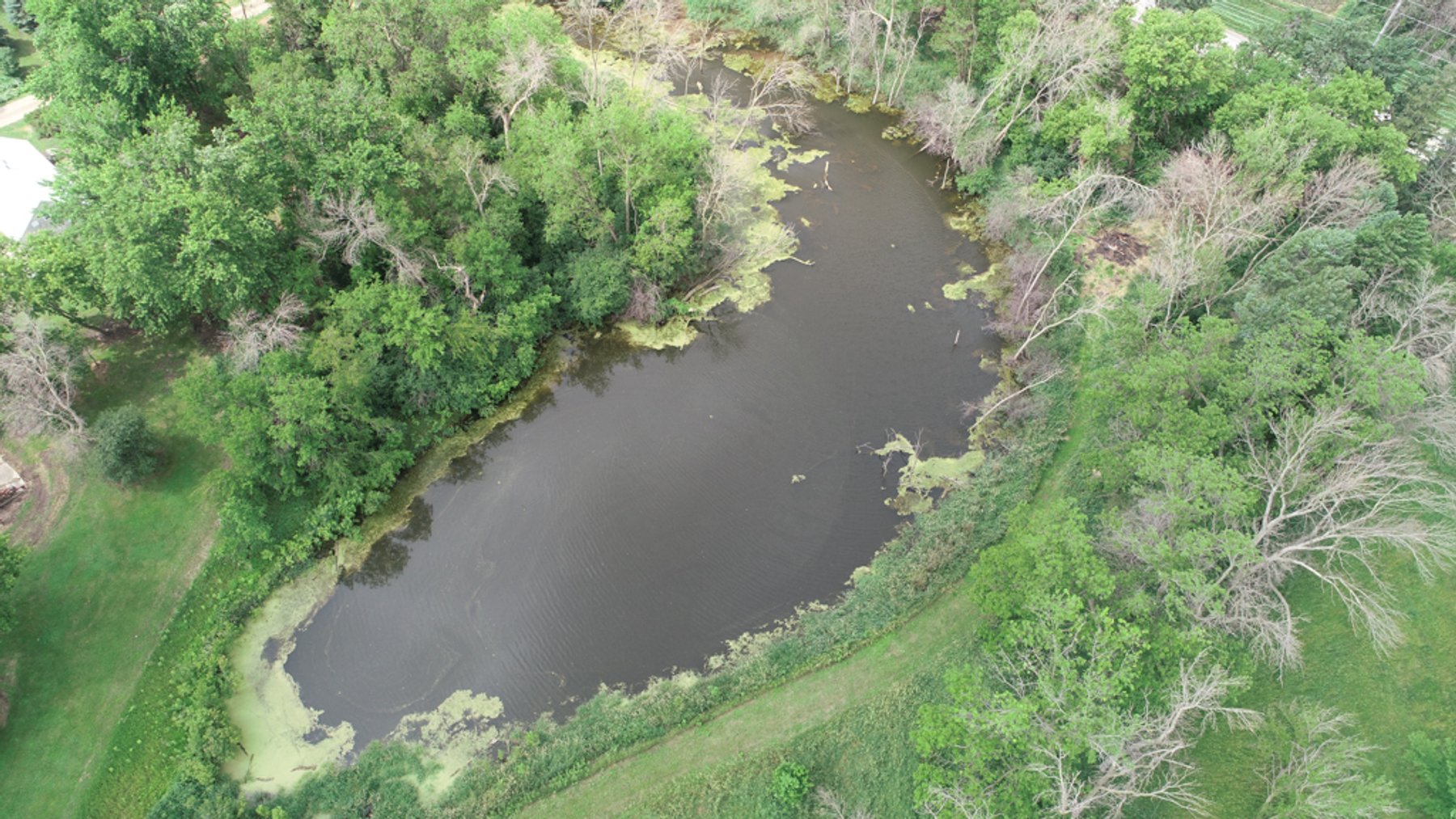 Image for Peterson, IA Acreage For Sale!