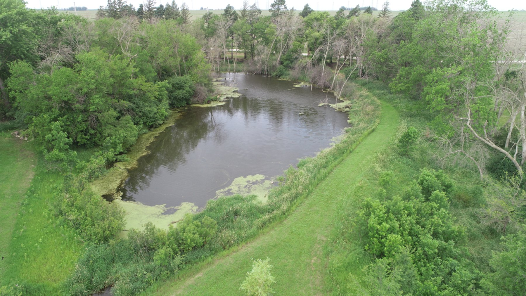 Image for Peterson, IA Acreage For Sale!