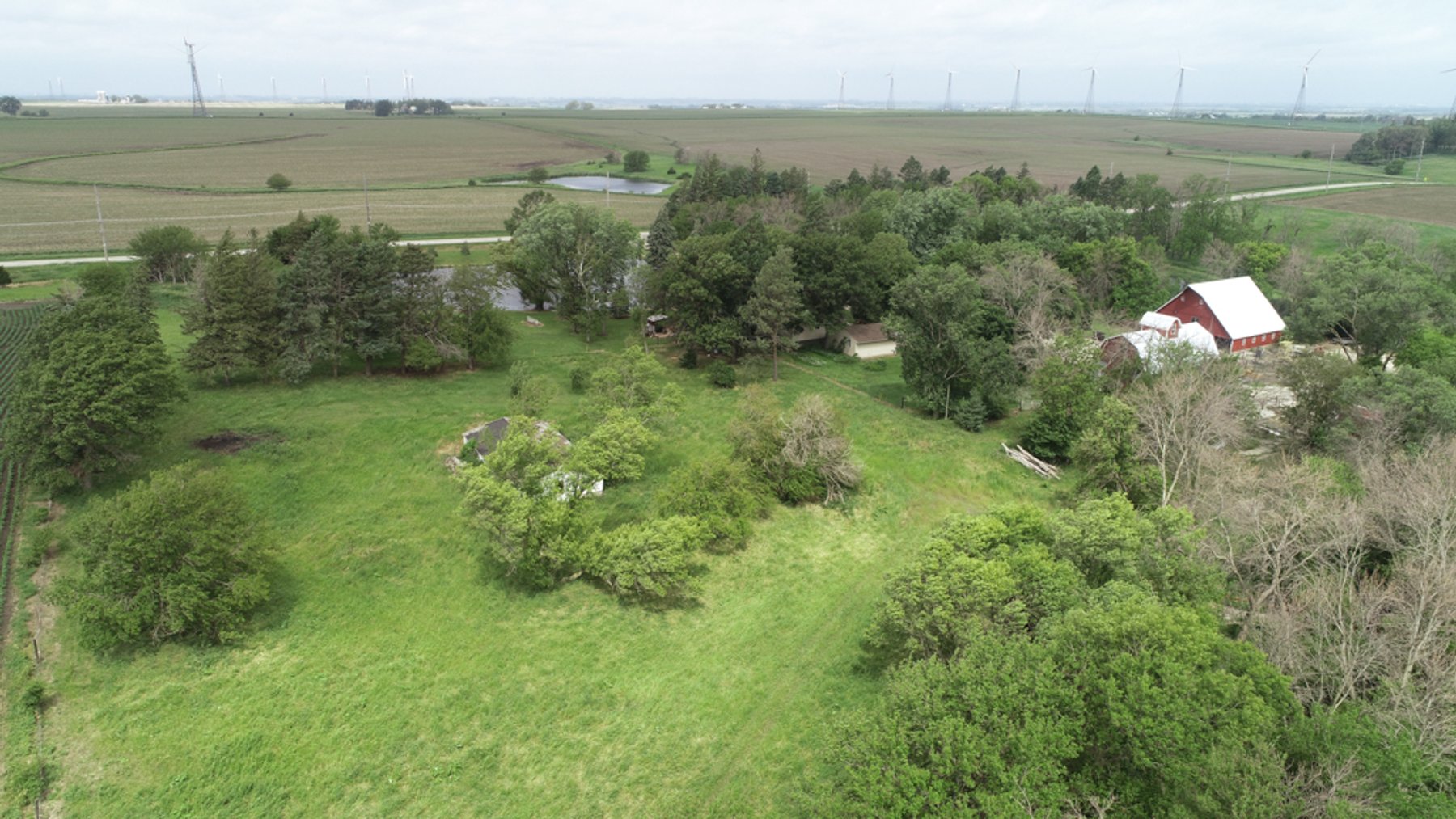 Image for Peterson, IA Acreage For Sale!