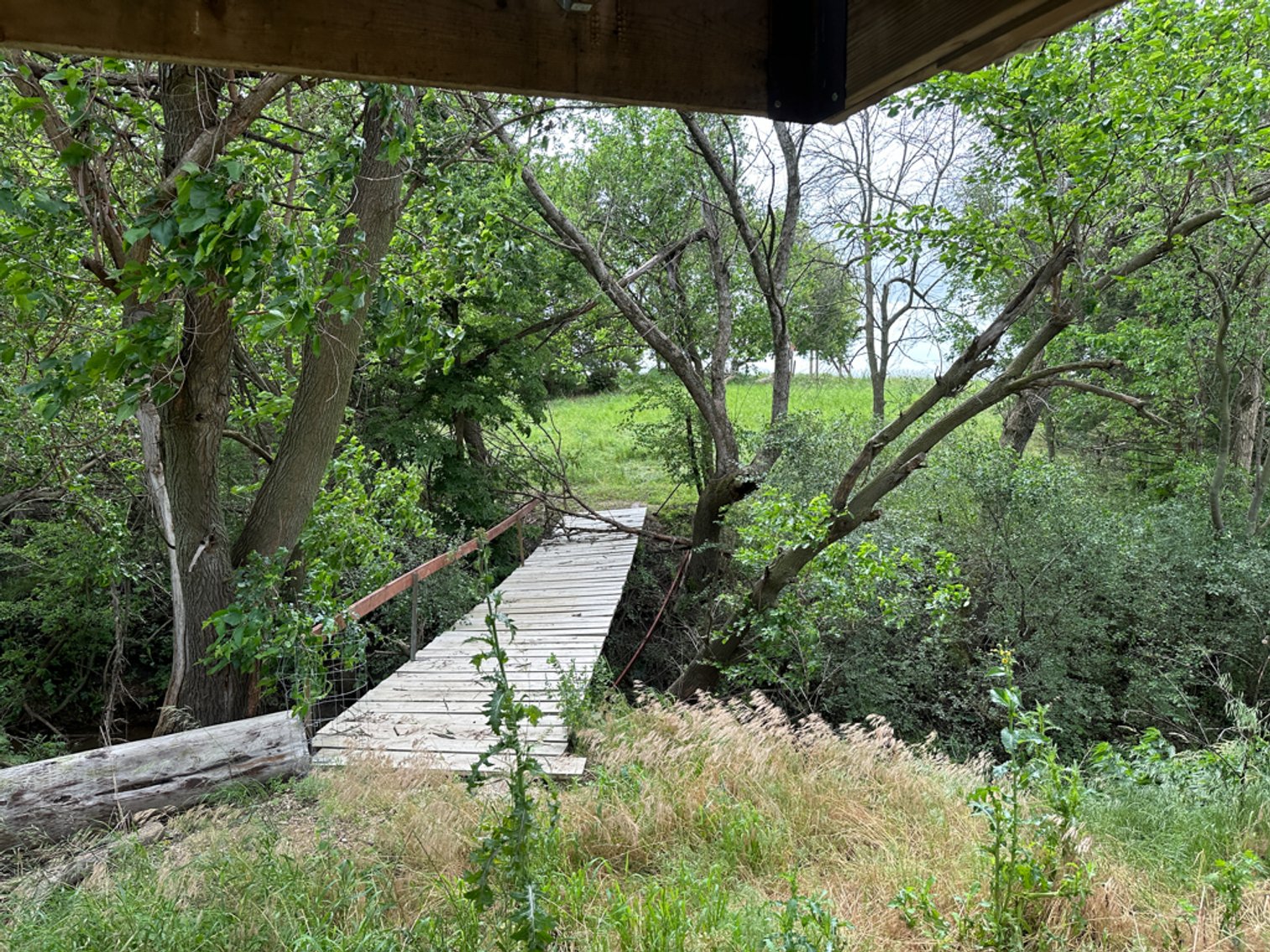 Image for Peterson, IA Acreage For Sale!