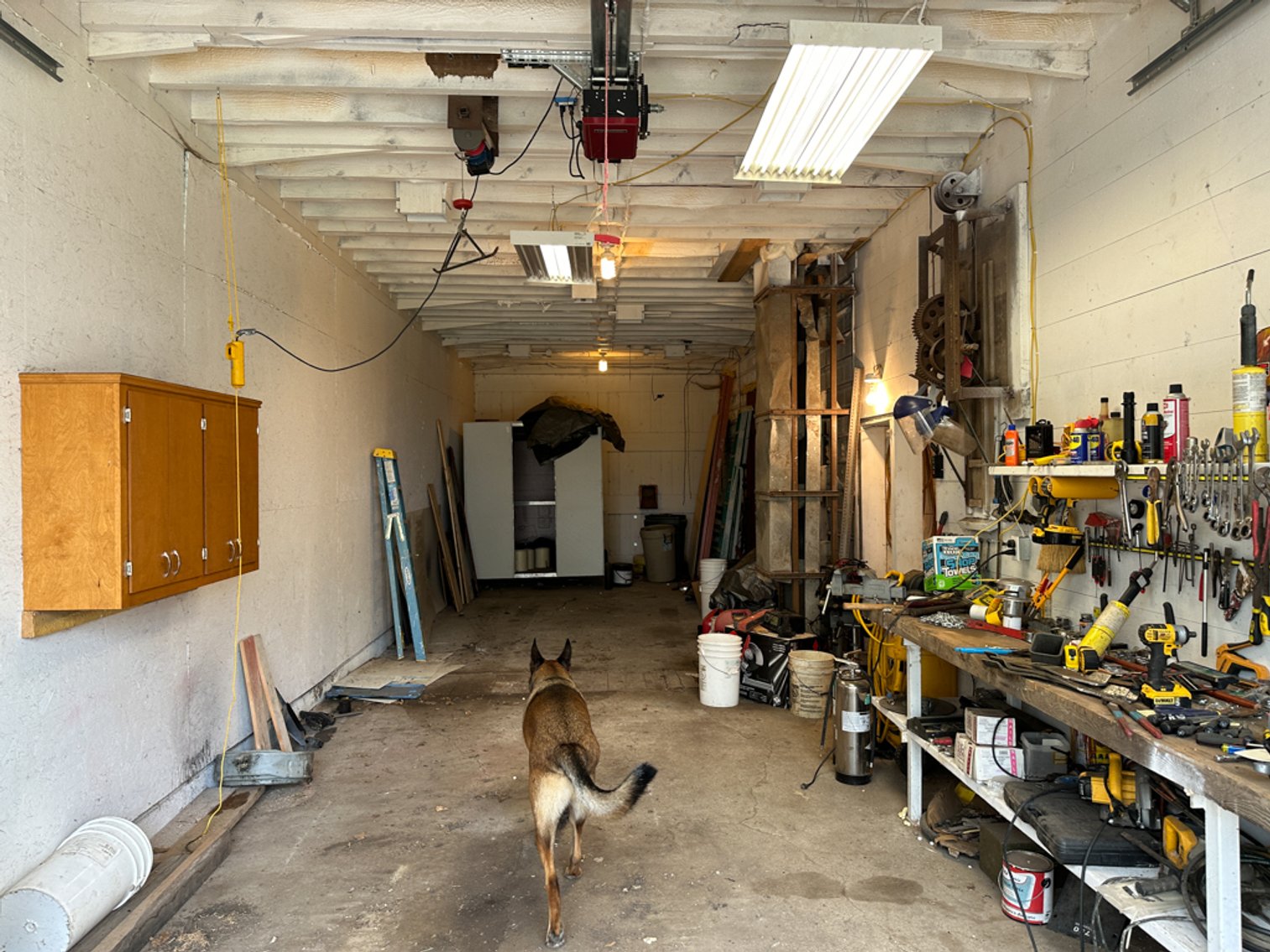 Image for Peterson, IA Acreage For Sale!