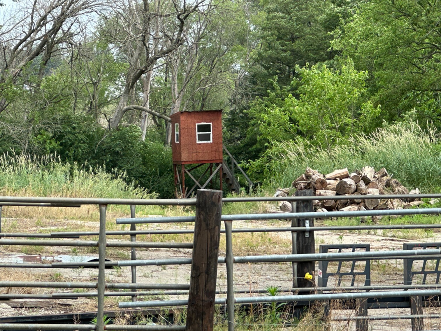 Image for Peterson, IA Acreage For Sale!