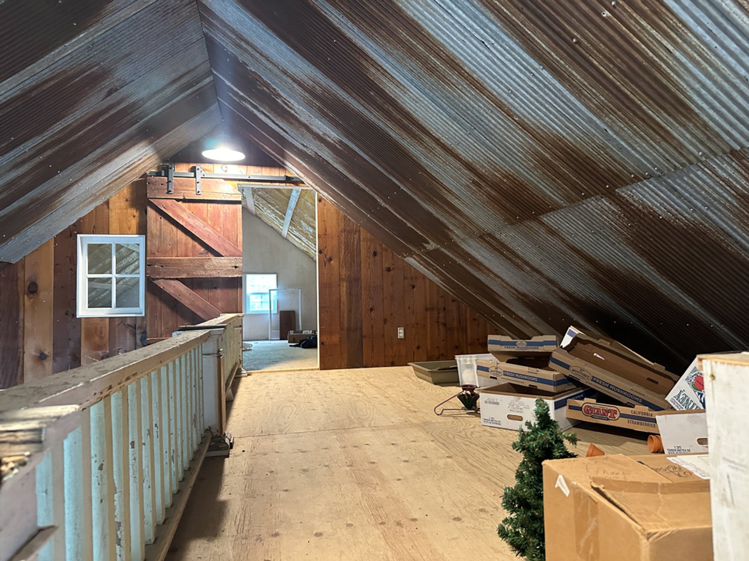 Image for Peterson, IA Acreage For Sale!