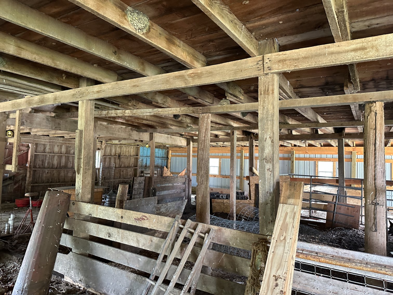 Image for Peterson, IA Acreage For Sale!