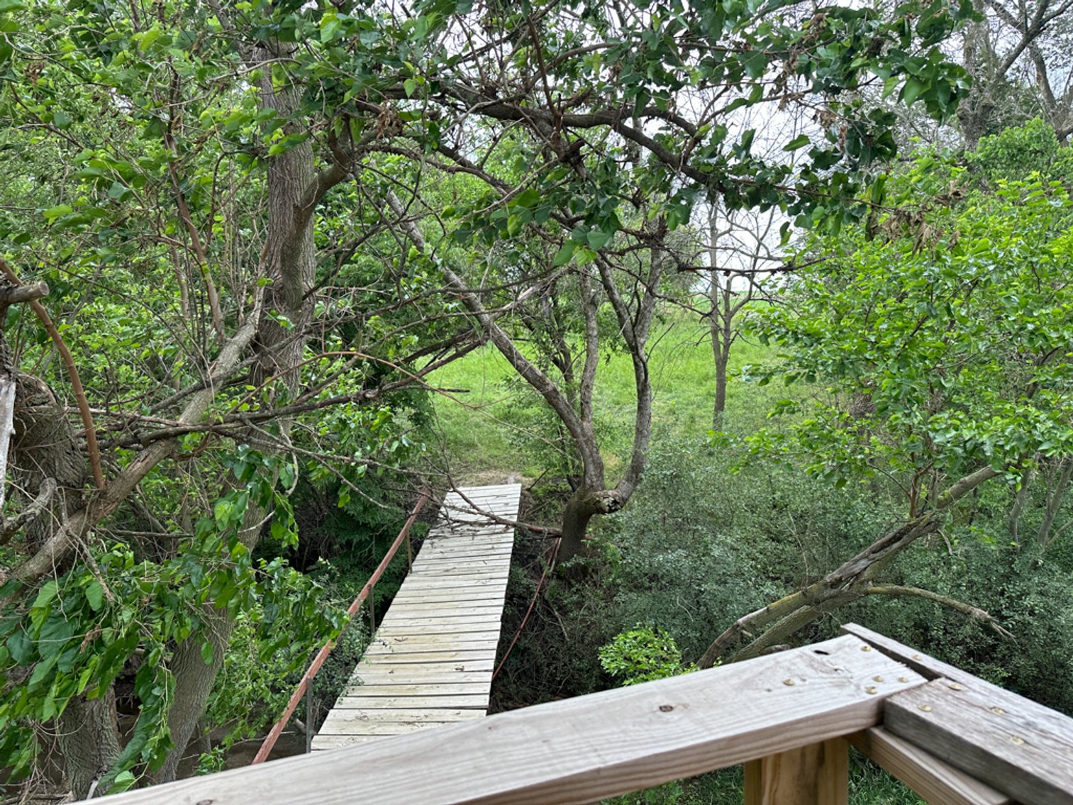 Image for Peterson, IA Acreage For Sale!