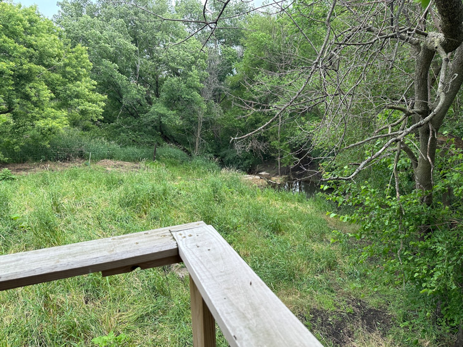 Image for Peterson, IA Acreage For Sale!