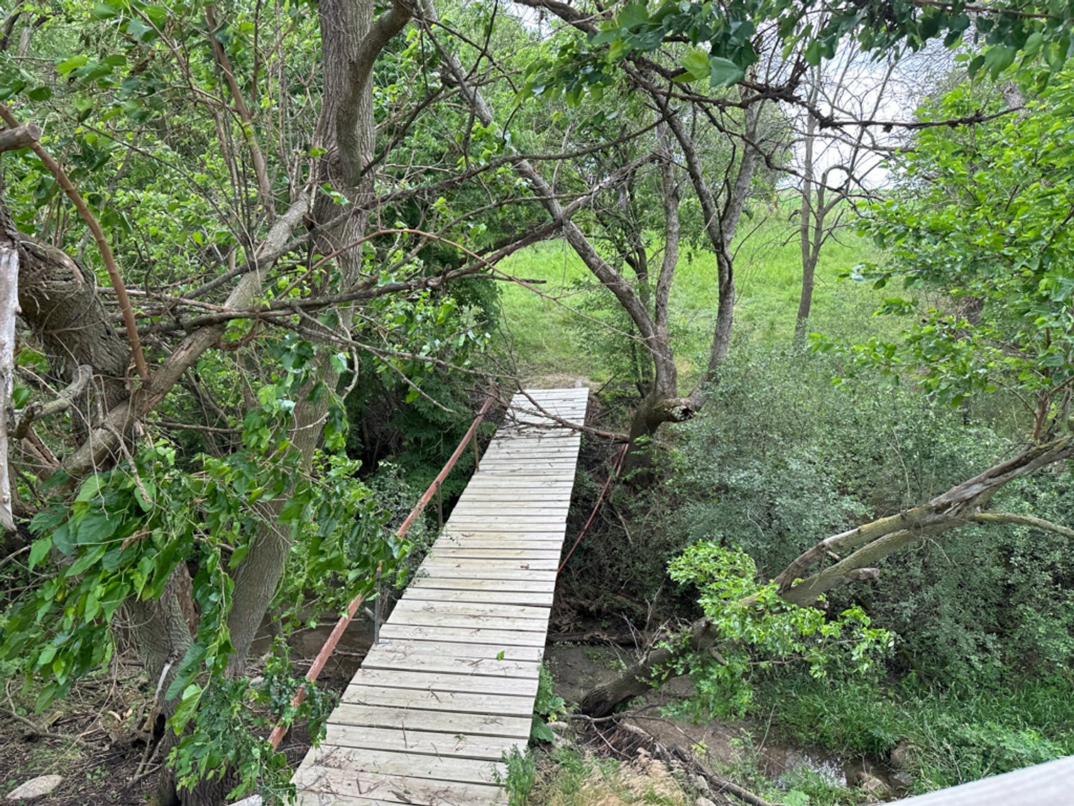 Image for Peterson, IA Acreage For Sale!