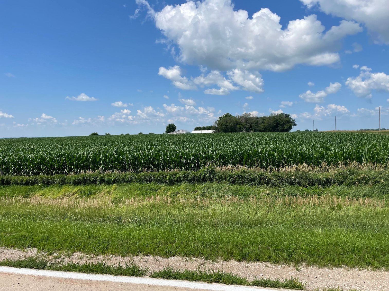 Image for Calhoun County Farmland Auction!