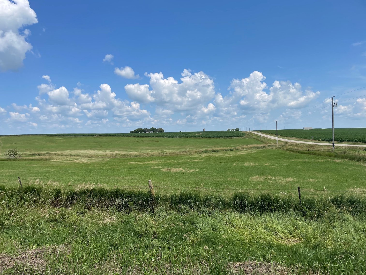 Image for Calhoun County Farmland Auction!