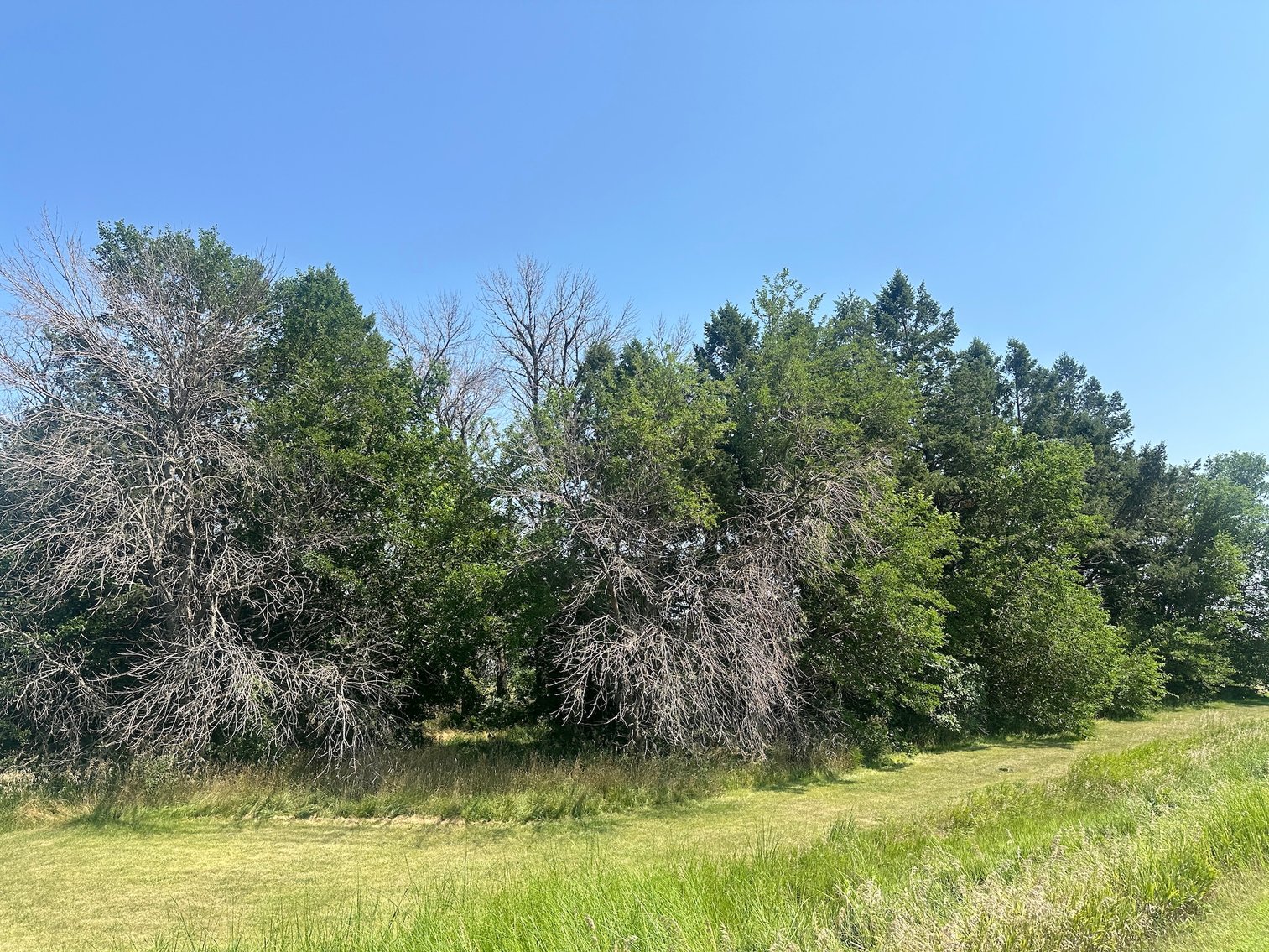 Image for 2170 Taylor Avenue, Sac City!