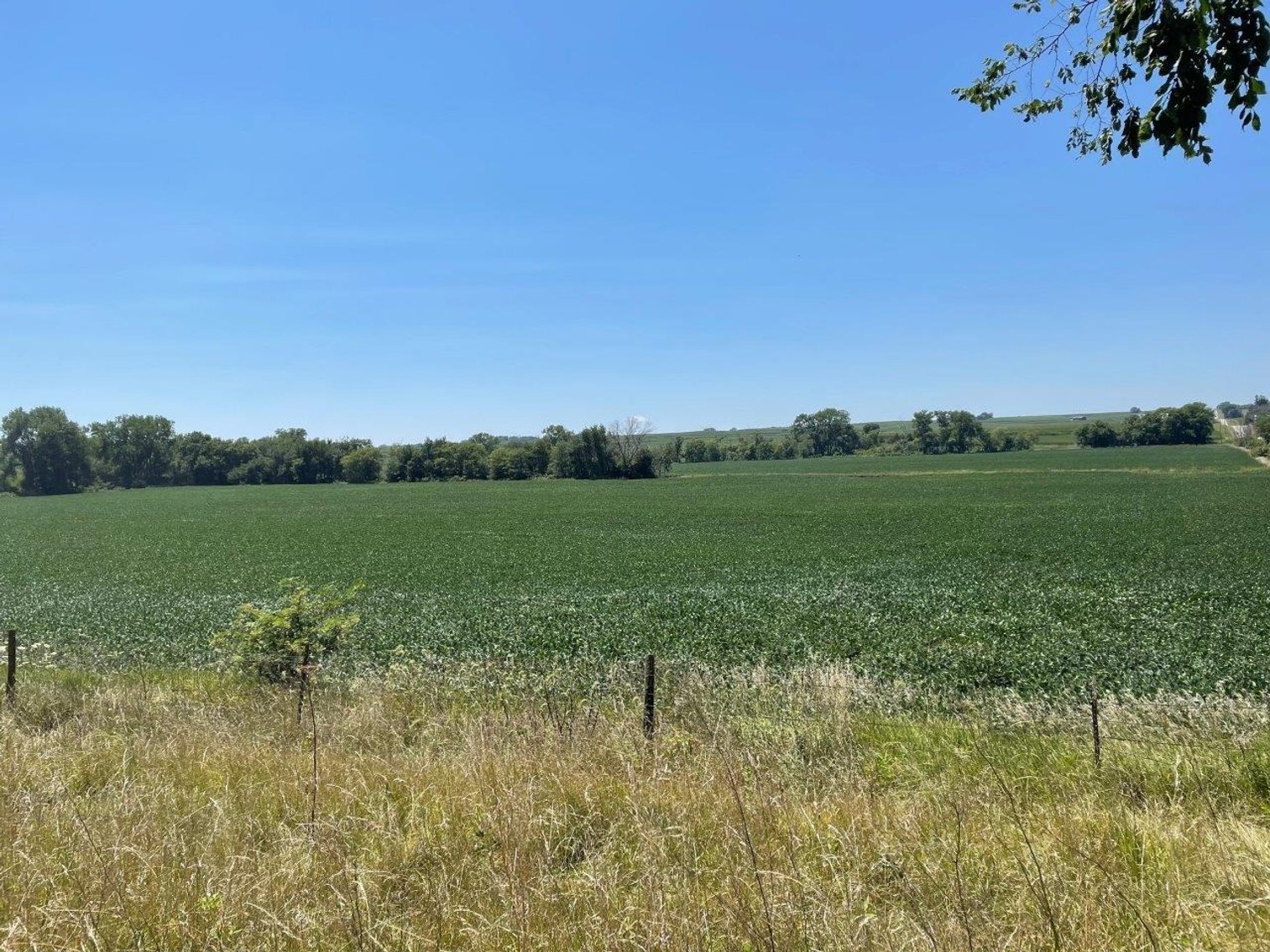 Image for Adair County, IA Land Auction!