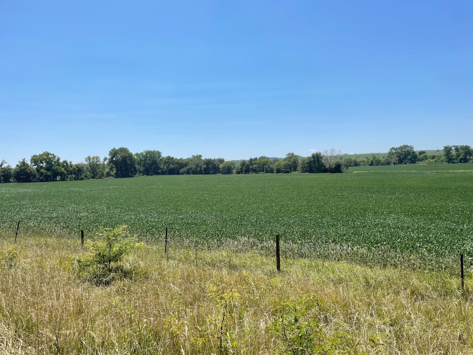 Image for Adair County, IA Land Auction!