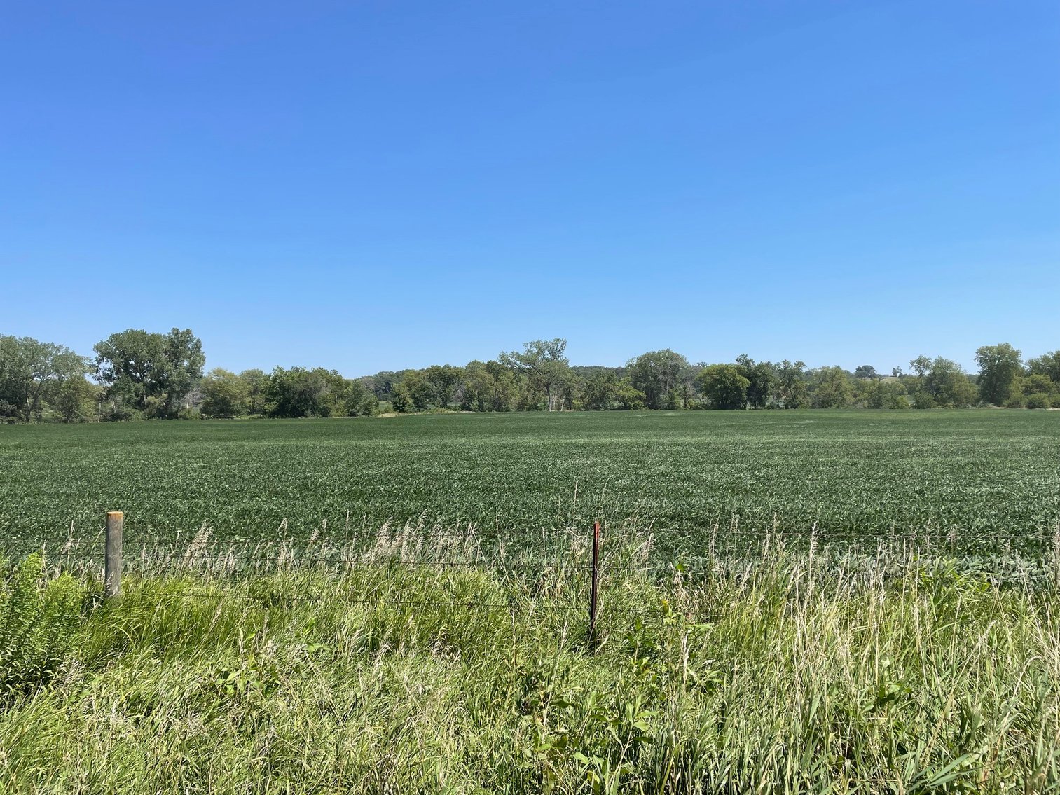 Image for Adair County, IA Land Auction!